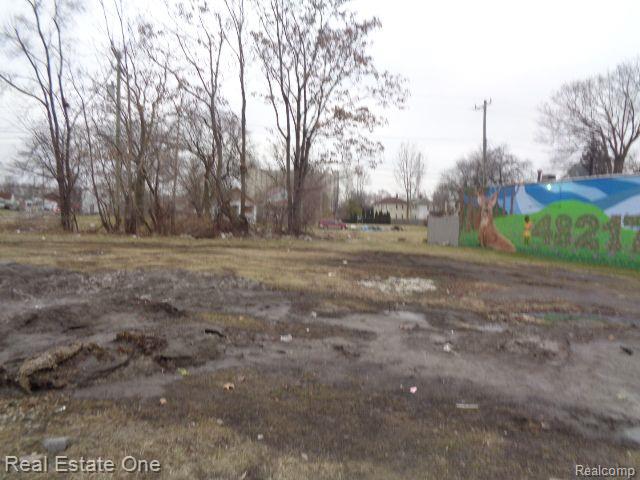 2601 S Fort Street Detroit City MI 48217