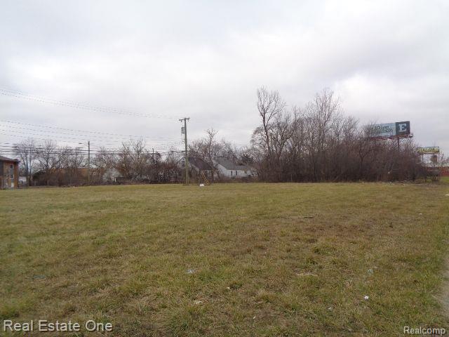 18110 Weaver Street Detroit City MI 48228