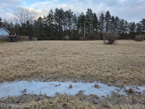 V/L Lorraine Street Marlette City MI 48453
