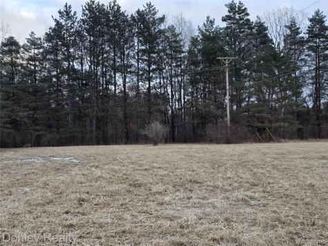 V/L Lorraine Street Marlette City MI 48453