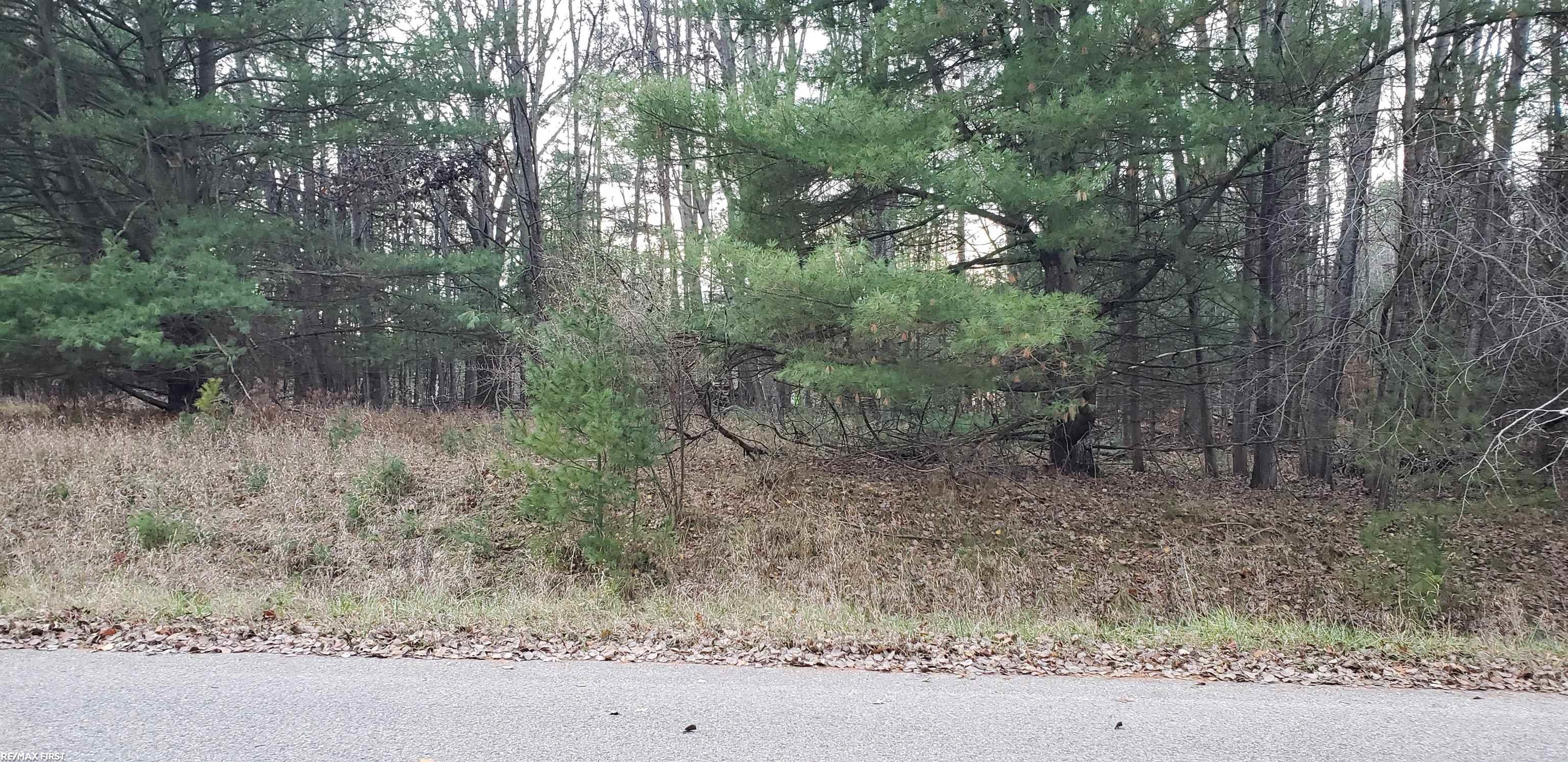 Robindale Way Gladwin City MI 48624