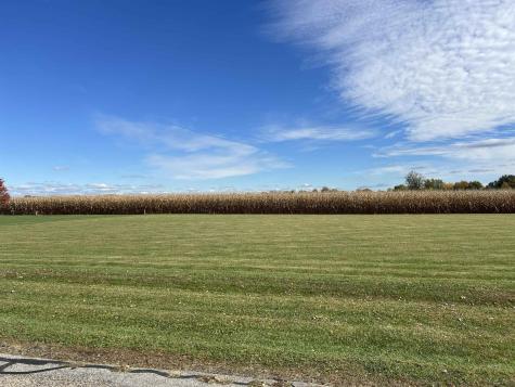 5000 Ricker Highway Block, Lot 2, Blissfield Highway Blissfield Village MI 49228