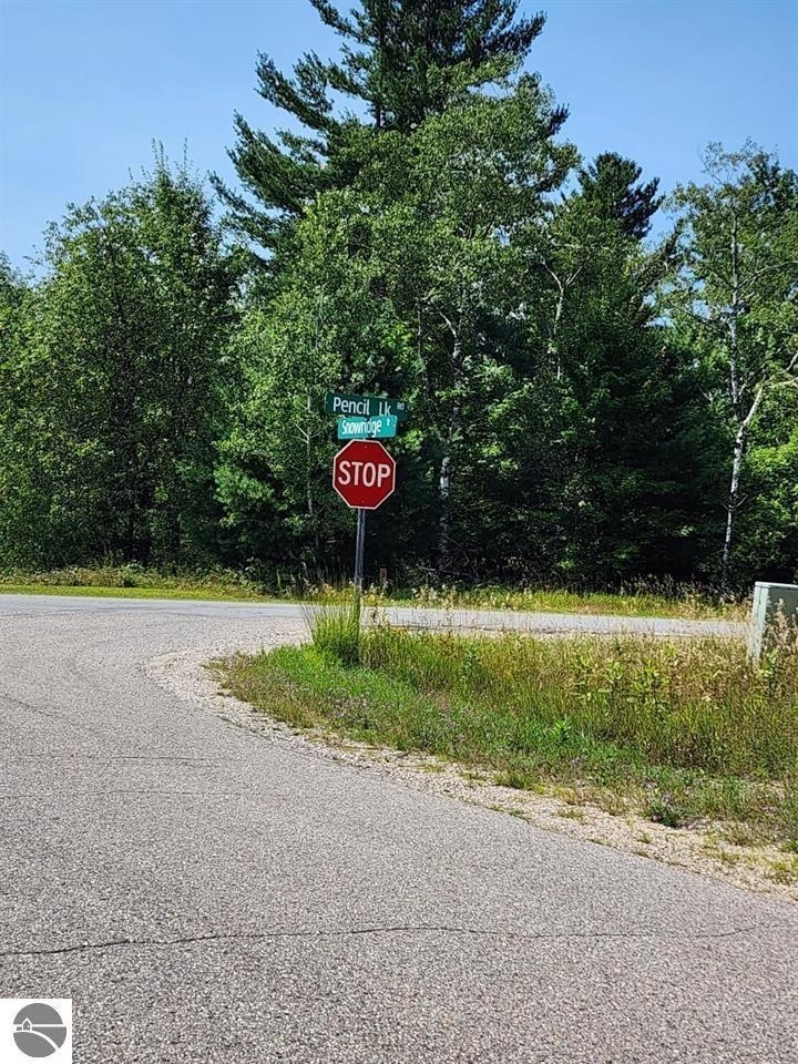 Ville Snowridge Trail Star Township MI 49730