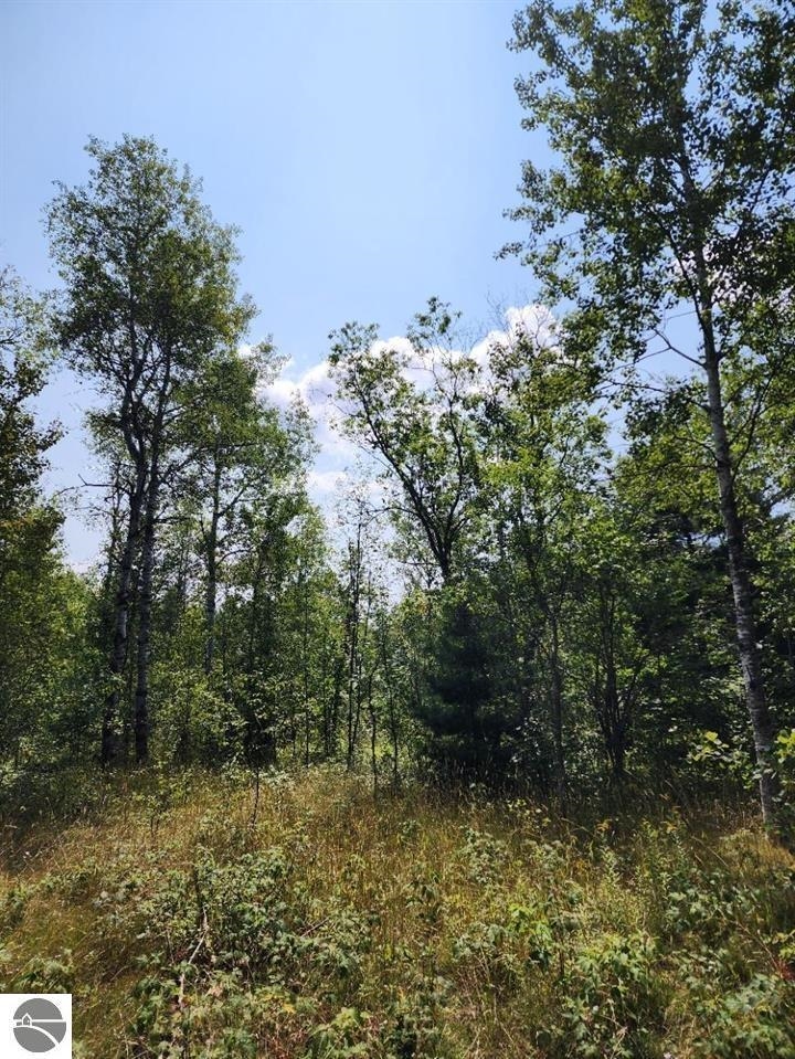 Ville Snowridge Trail Star Township MI 49730