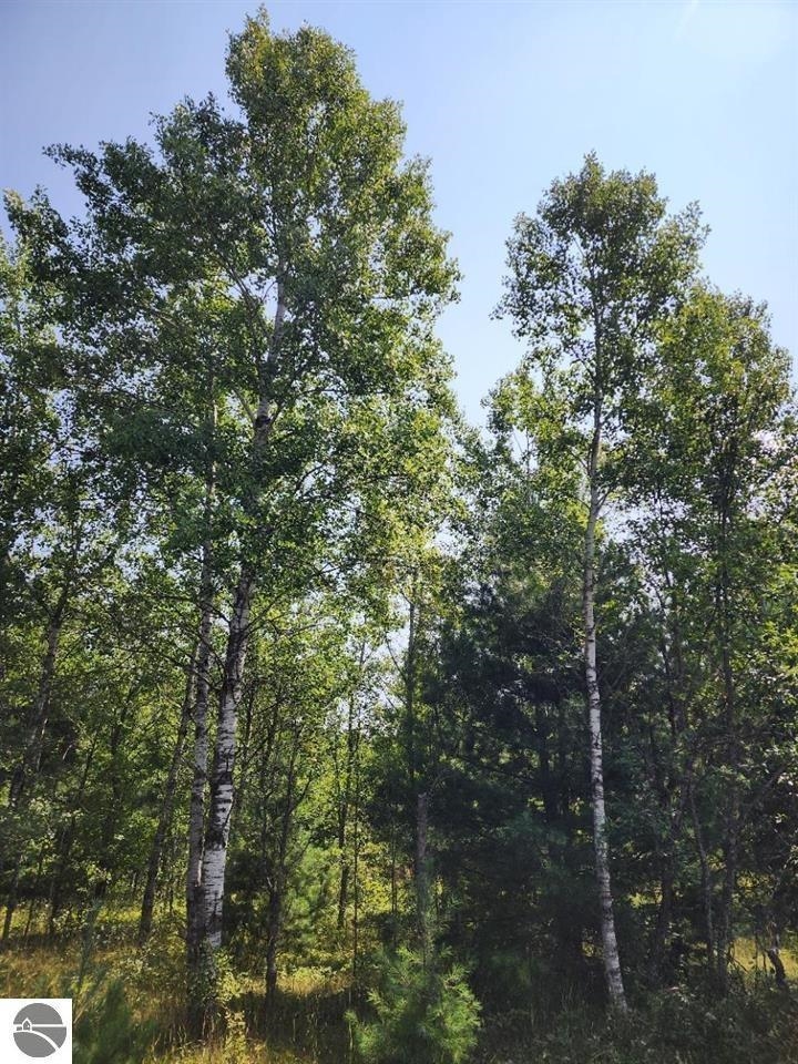 Ville Snowridge Trail Star Township MI 49730