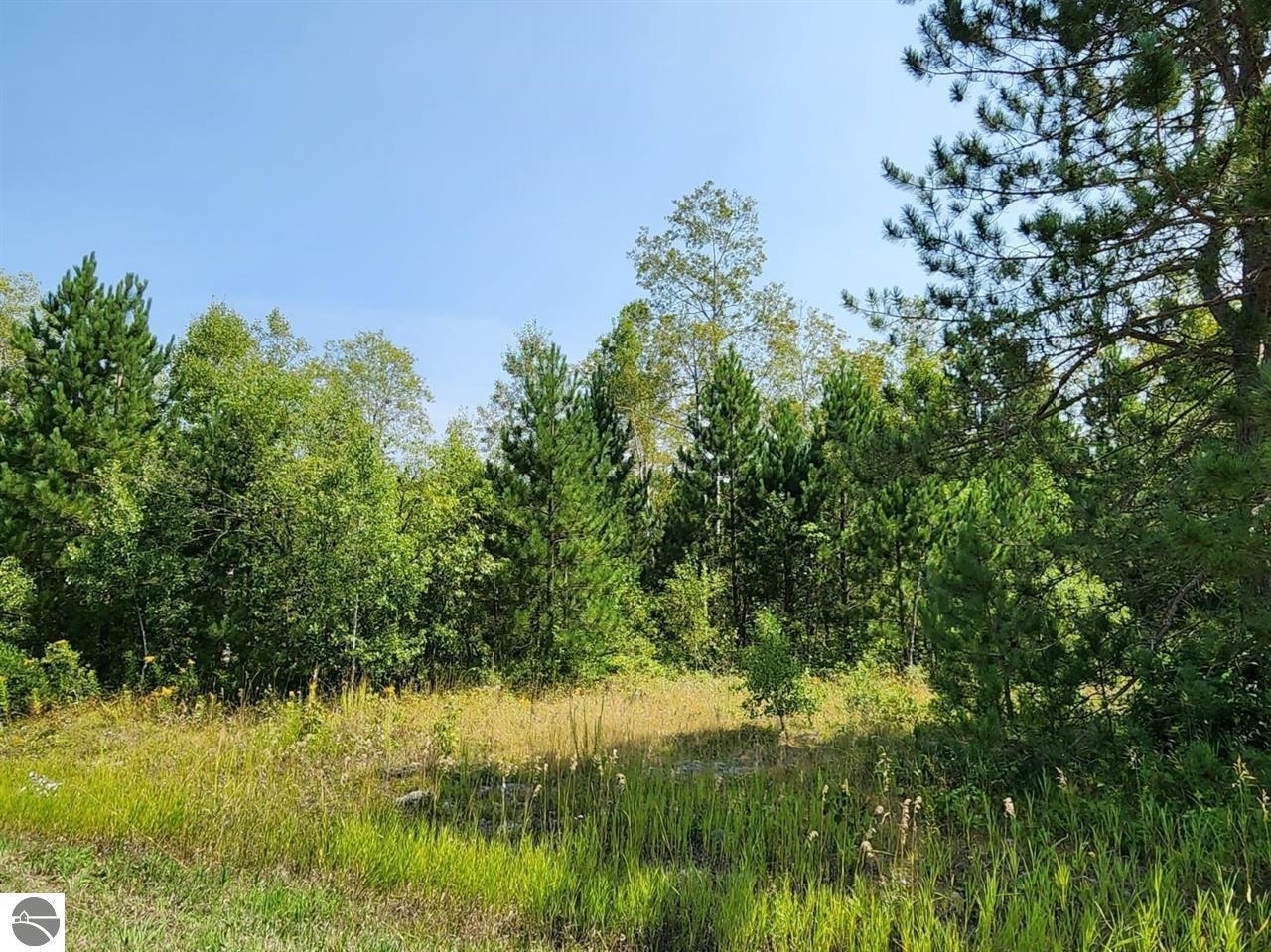 Ville Snowridge Trail Star Township MI 49730