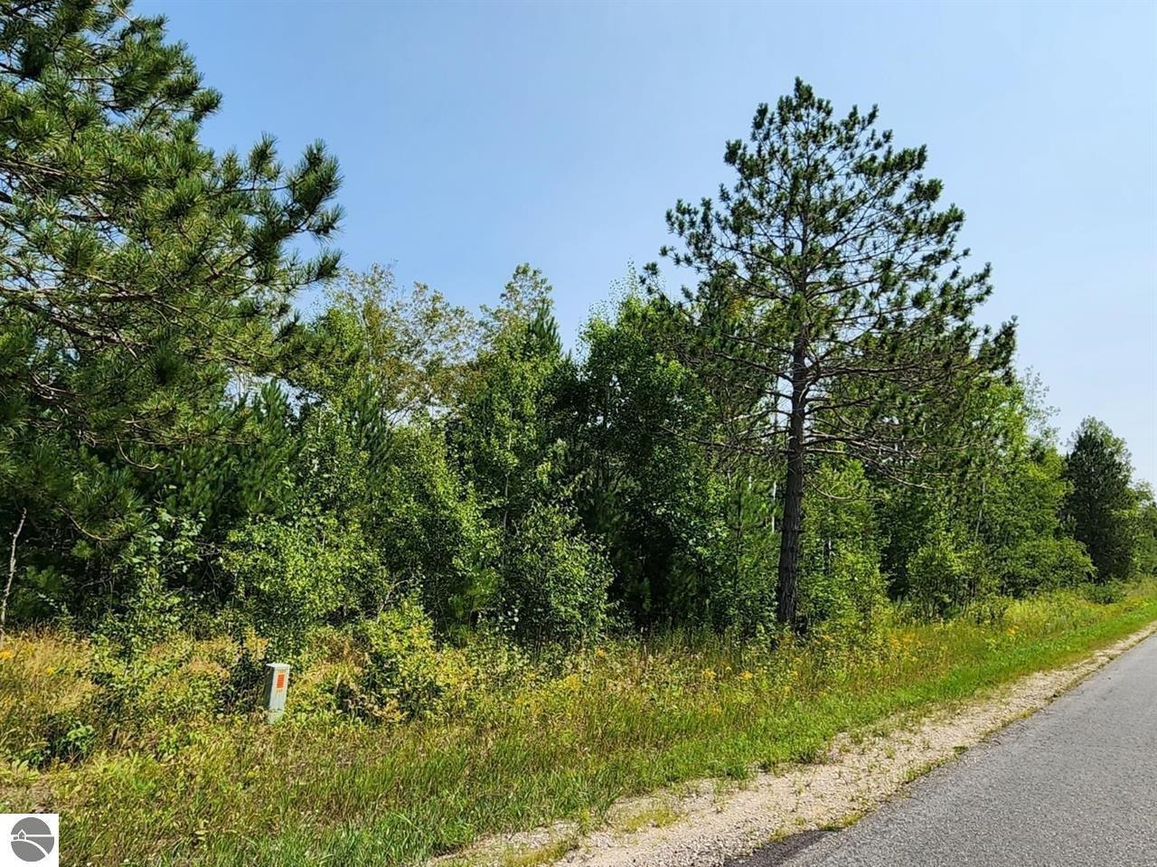 Ville Snowridge Trail Star Township MI 49730