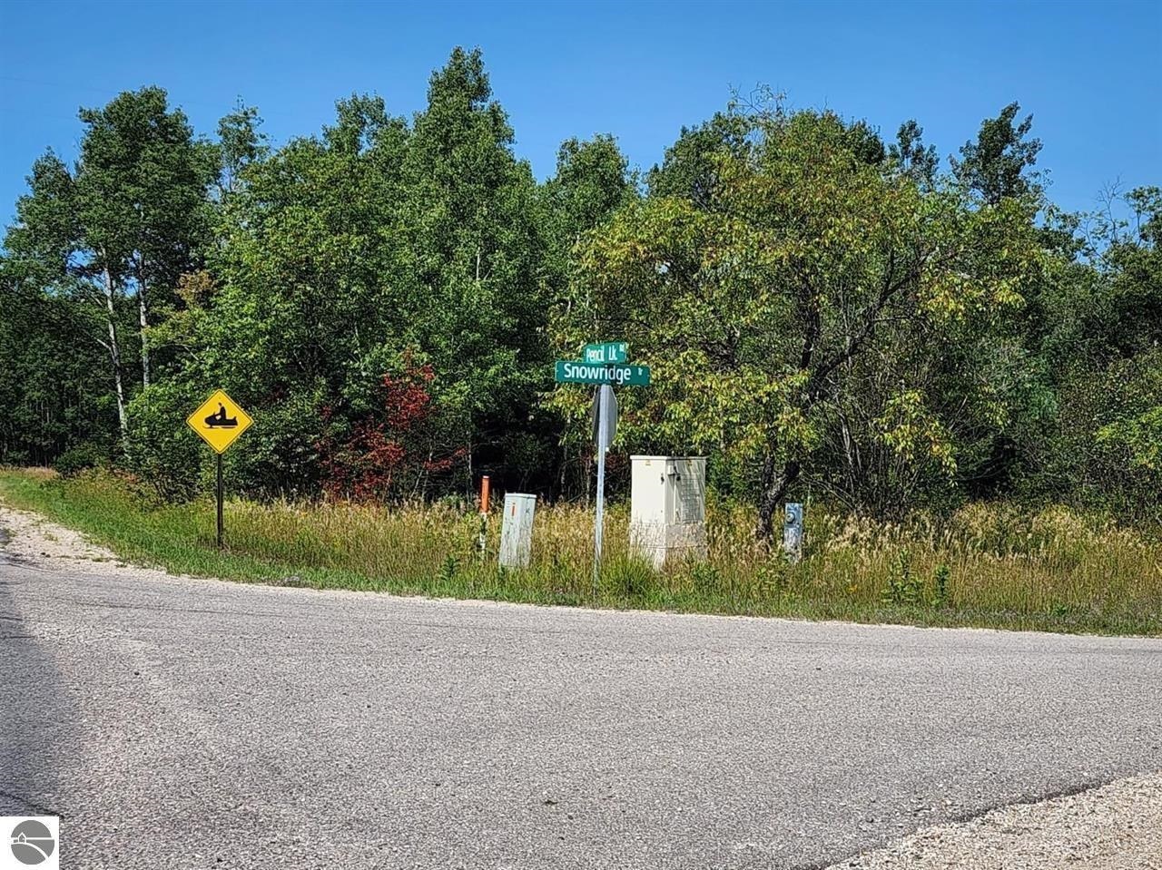 Ville Snowridge Trail Star Township MI 49730