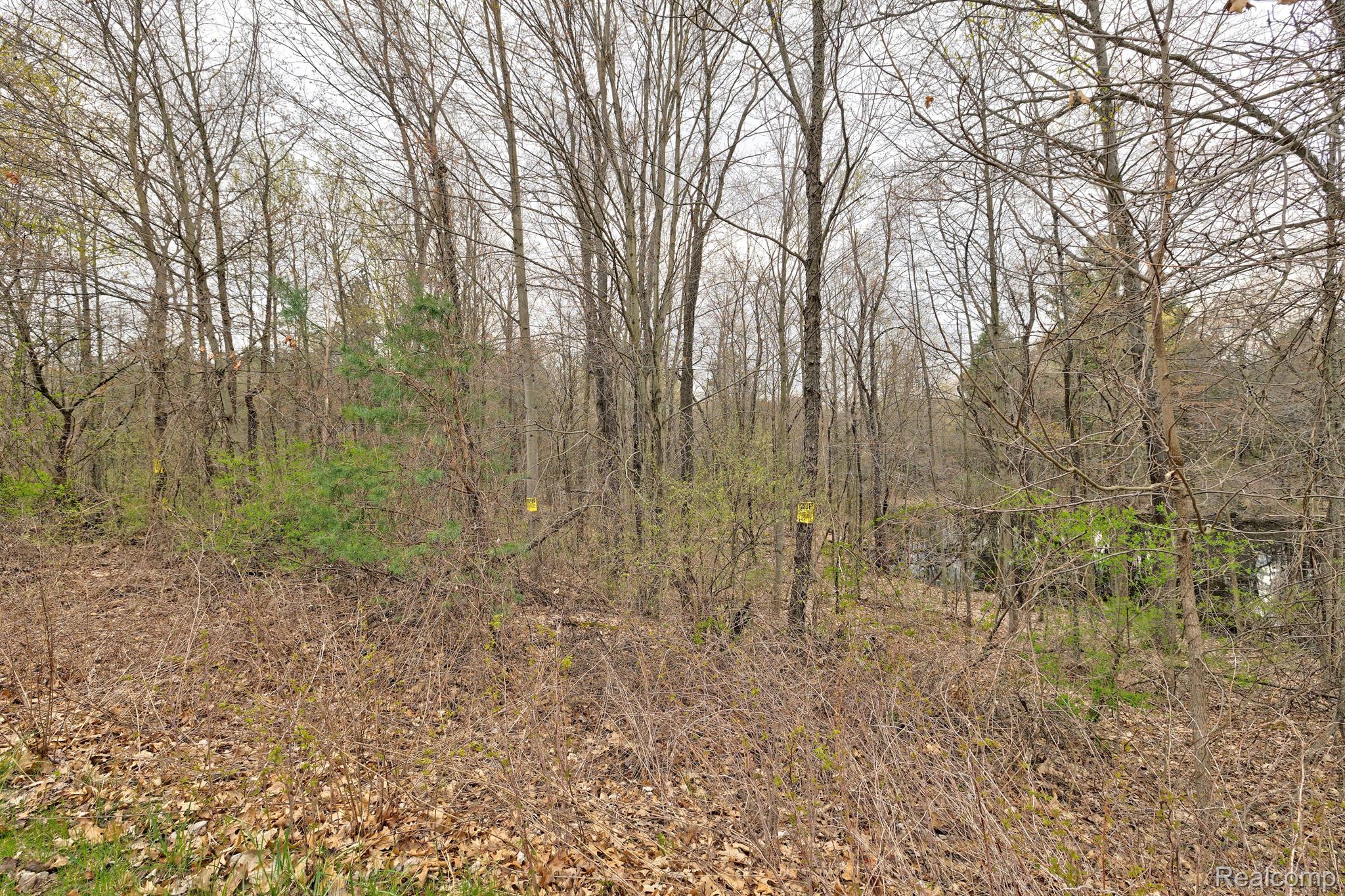 311 Dogwood Lane Groveland Township MI 48462