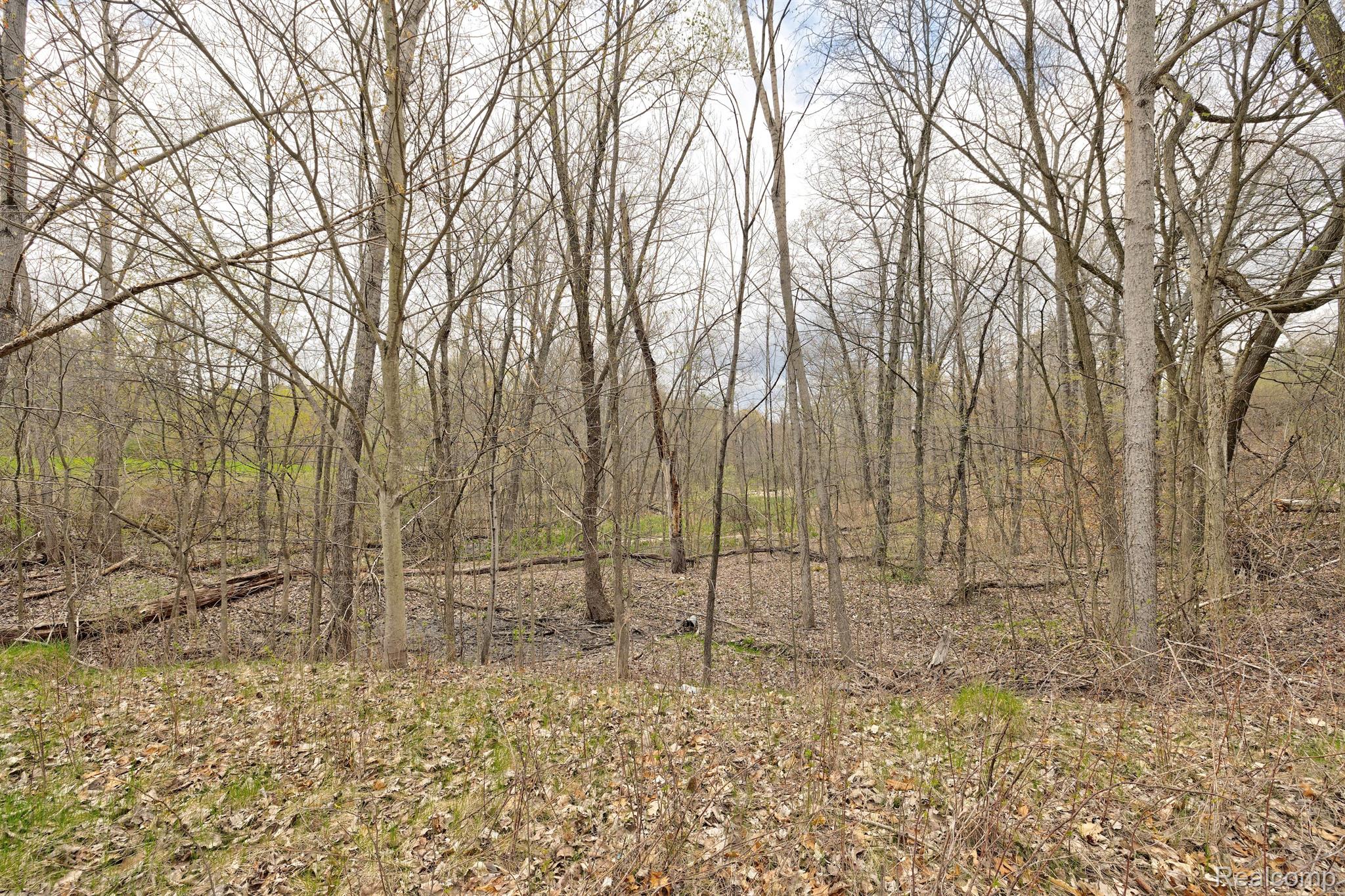 311 Dogwood Lane Groveland Township MI 48462