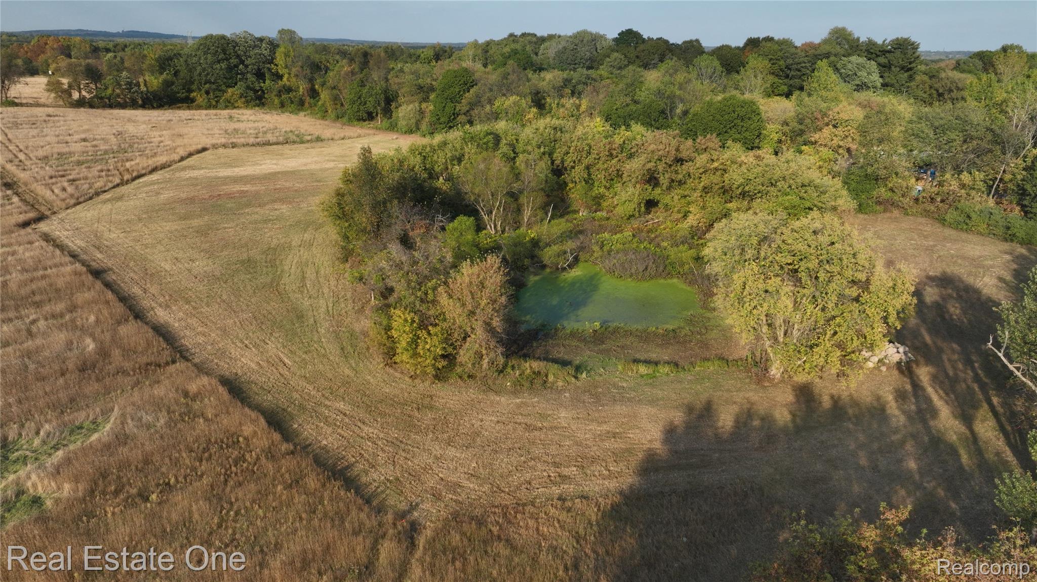 000 Parks Oakland Charter Township MI 48363