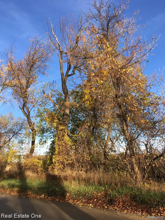 000 Parks Oakland Charter Township MI 48363