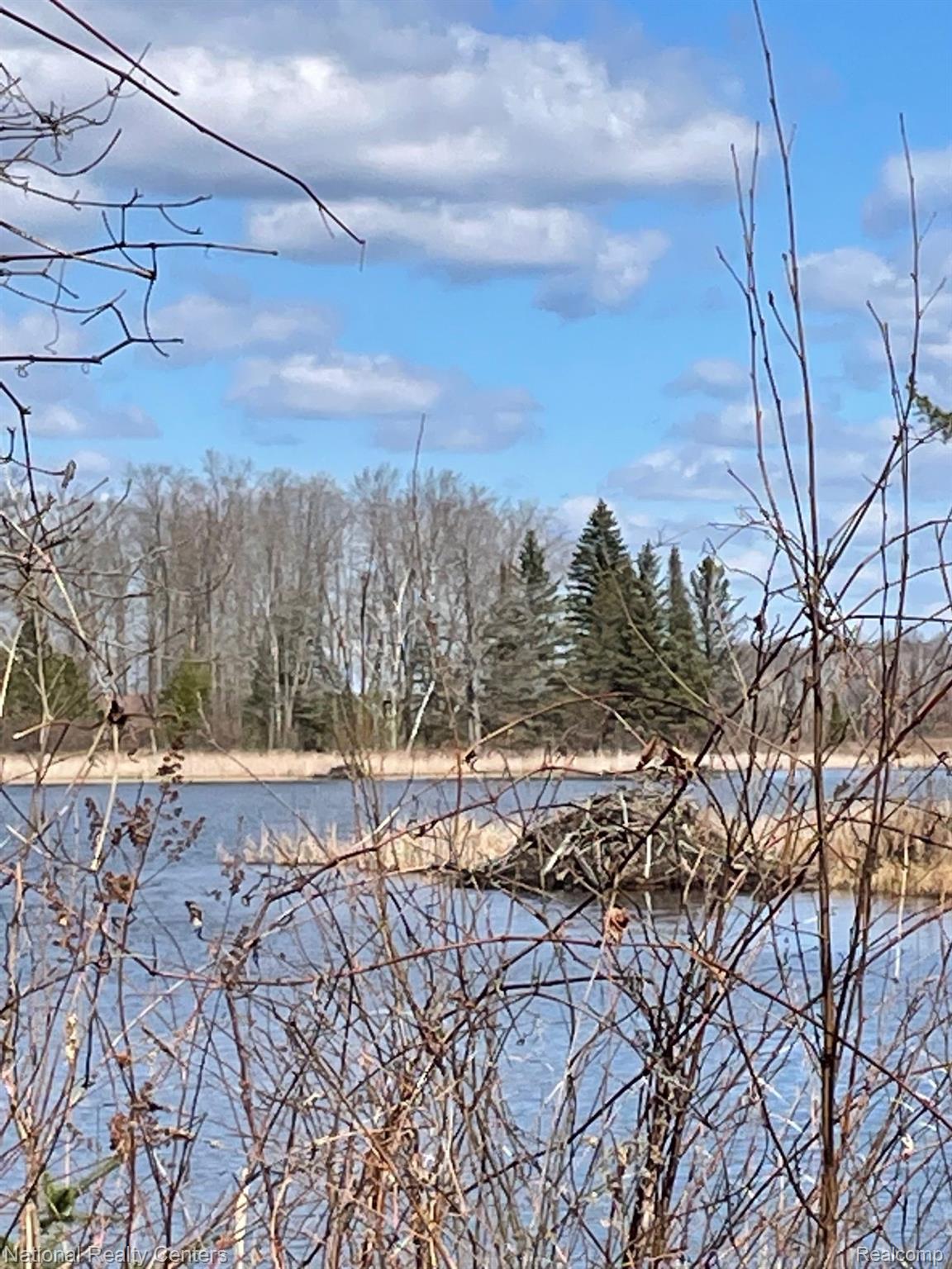 0000 Hardacre Trail Roscommon Township MI 48629