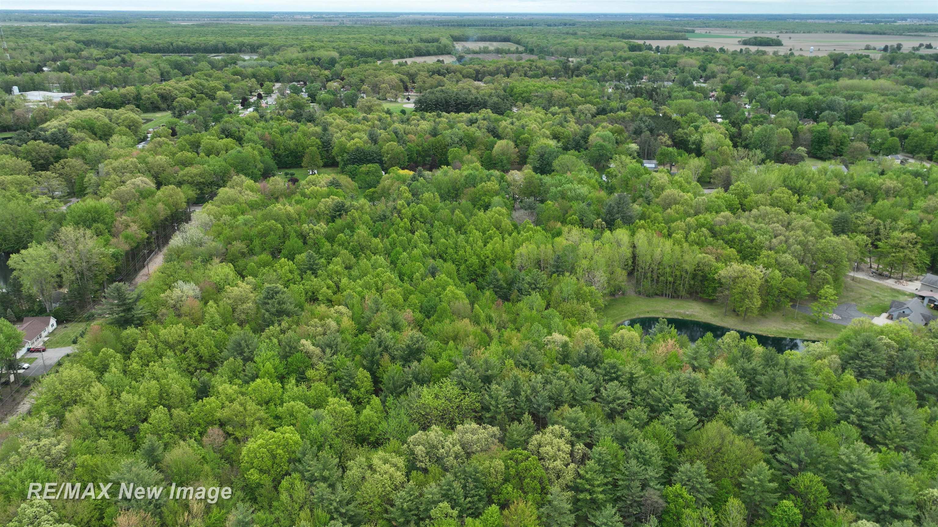 12000 W Townline Road St. Charles Township MI 48655