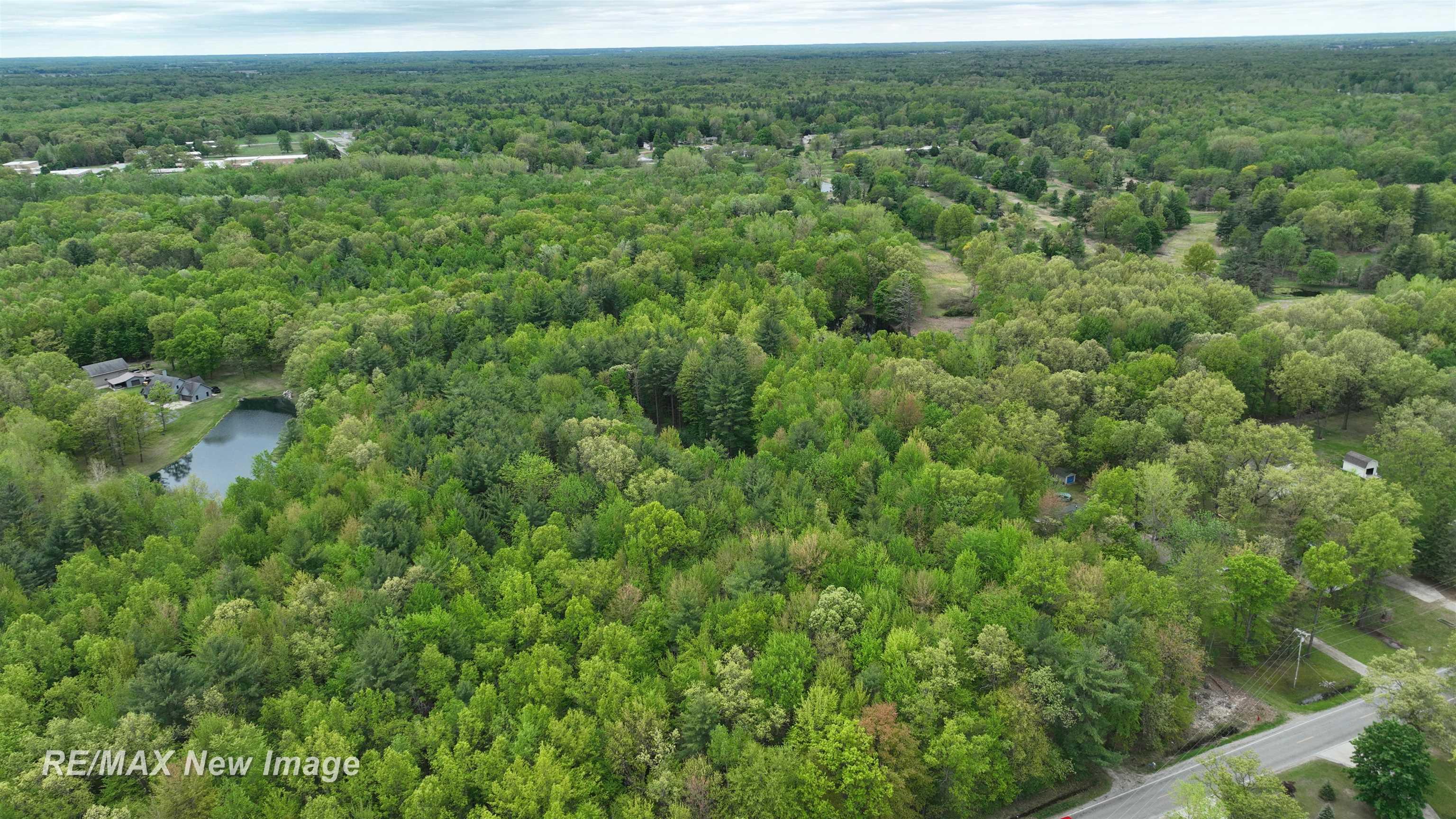 12000 W Townline Road St. Charles Township MI 48655