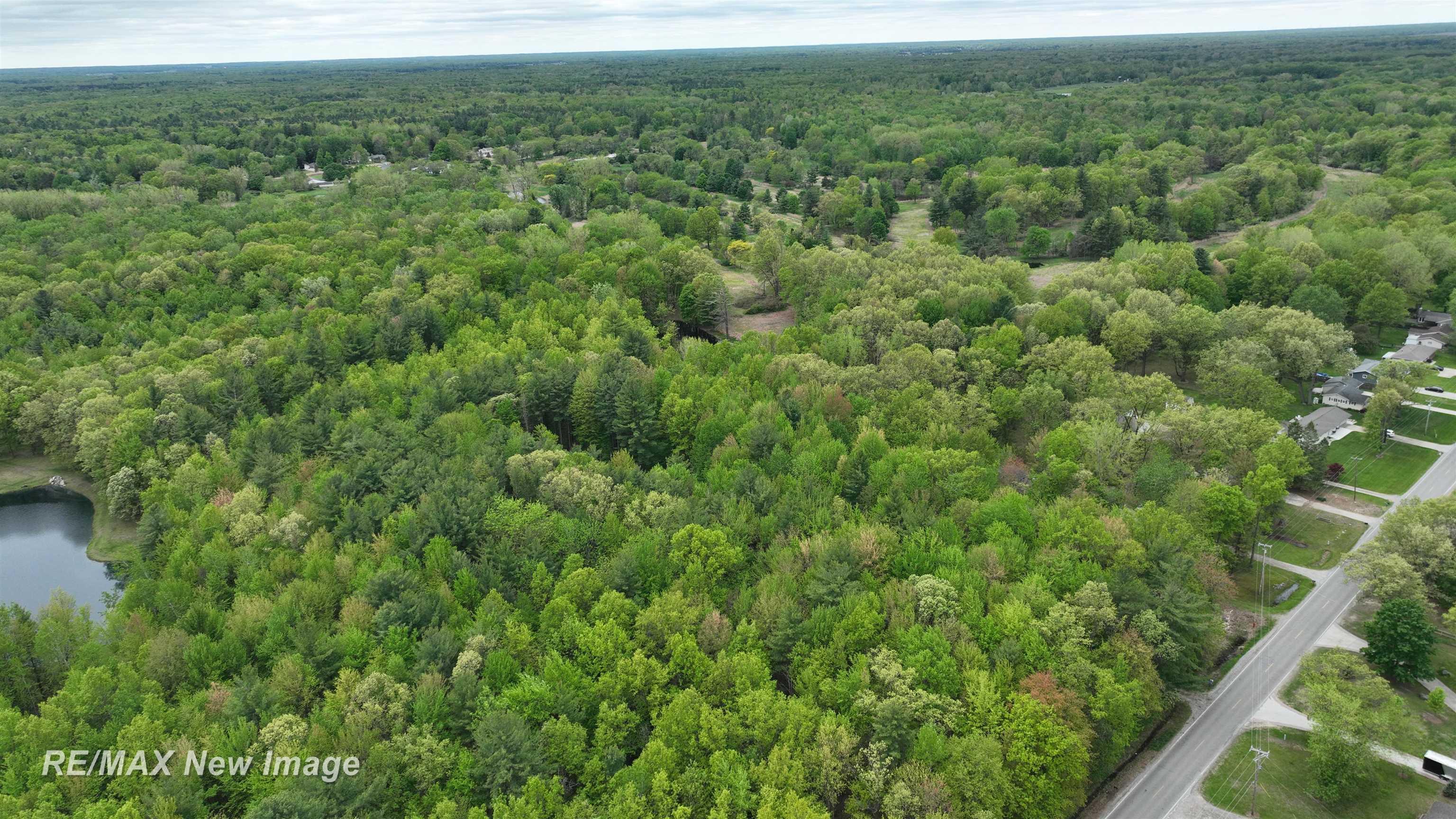 12000 W Townline Road St. Charles Township MI 48655