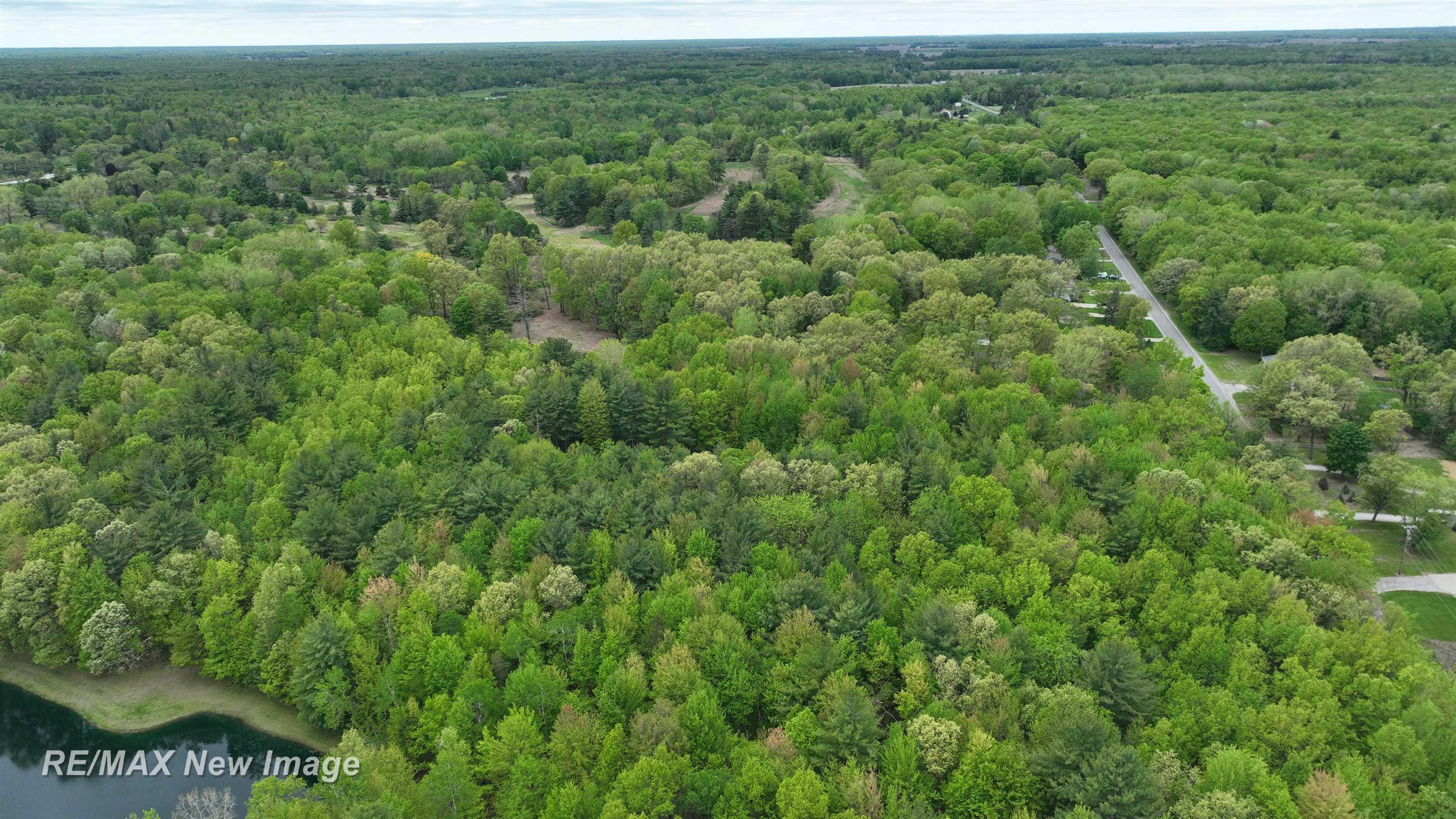 12000 W Townline Road St. Charles Township MI 48655