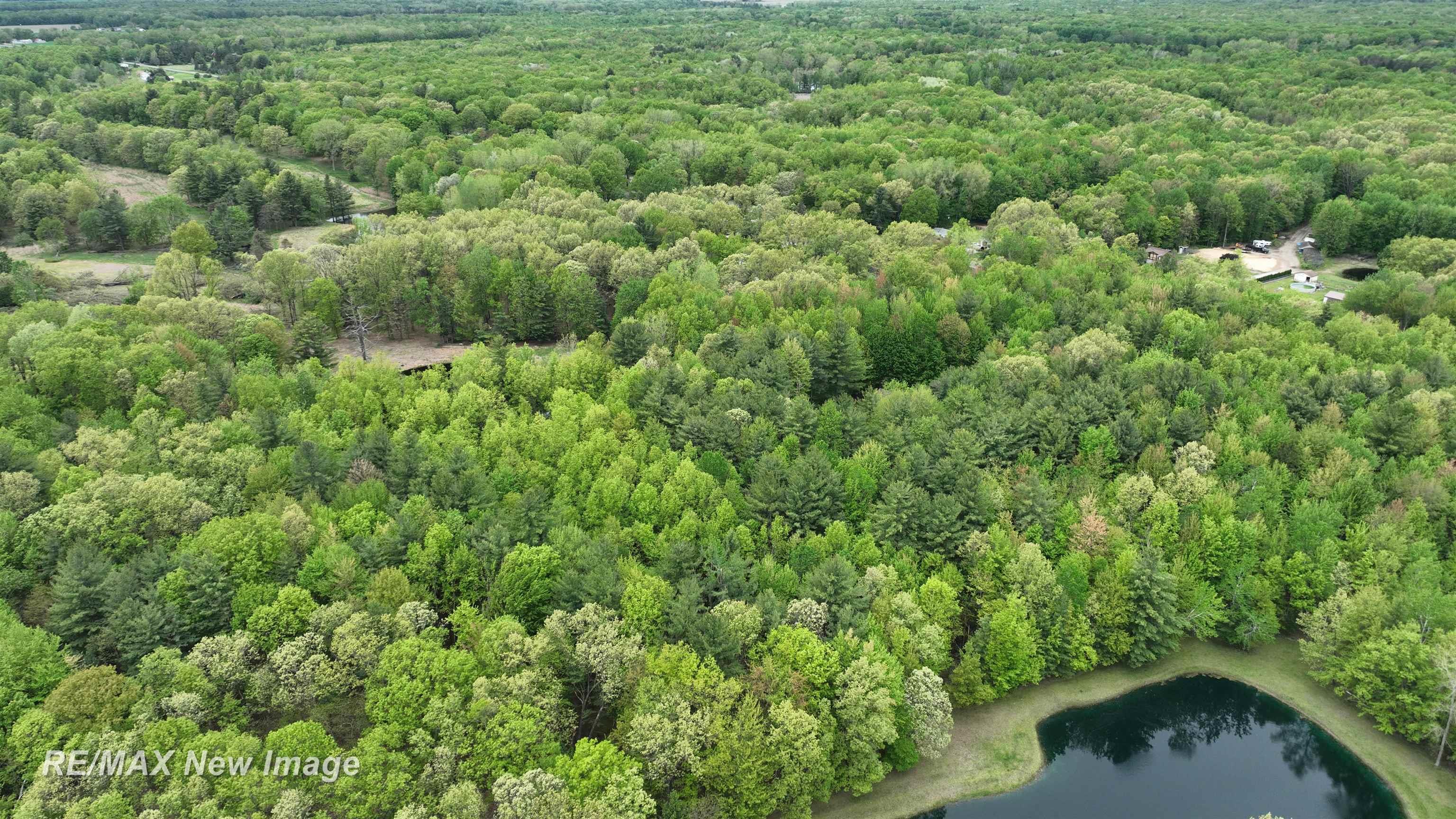 12000 W Townline Road St. Charles Township MI 48655
