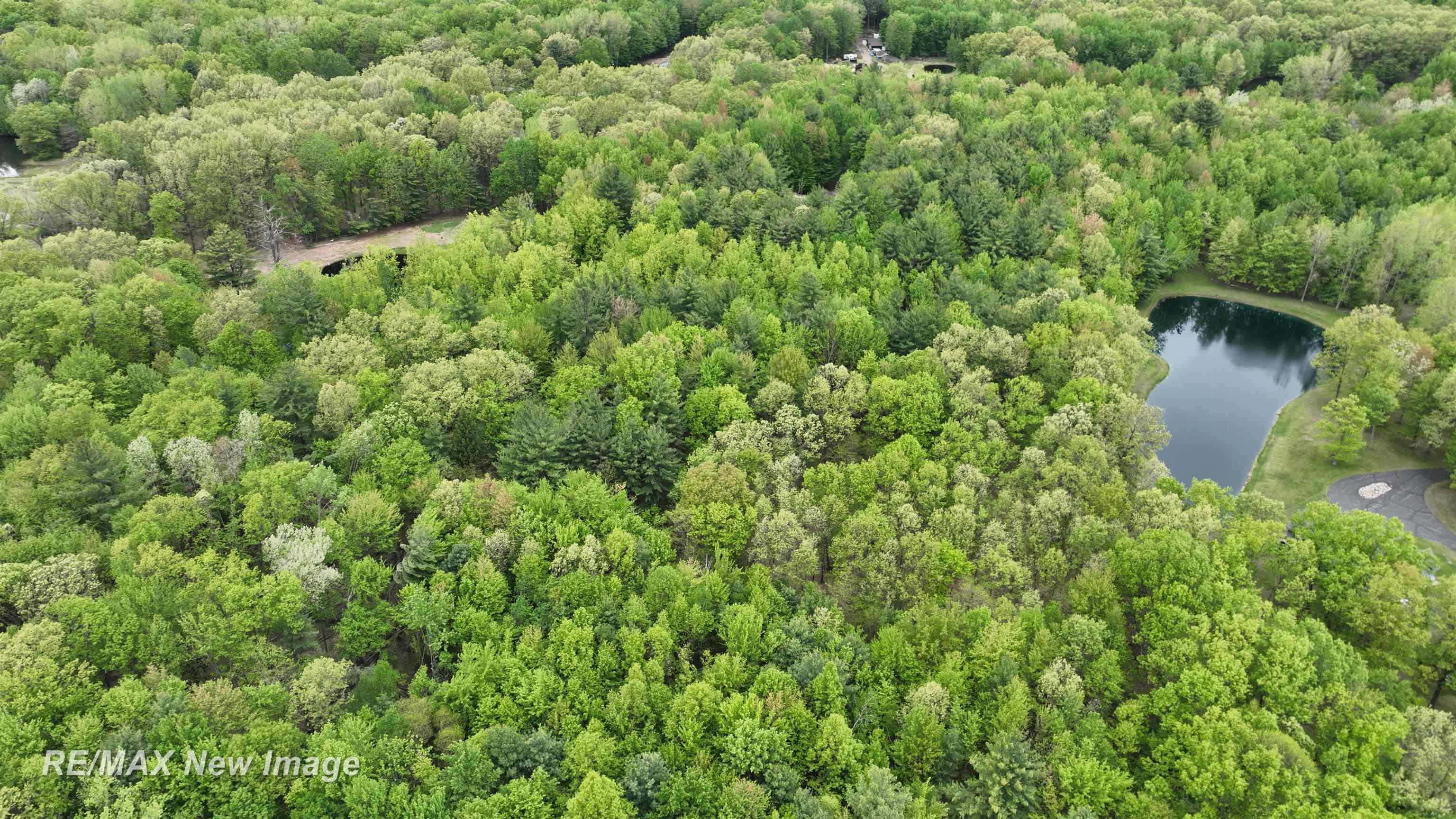 12000 W Townline Road St. Charles Township MI 48655