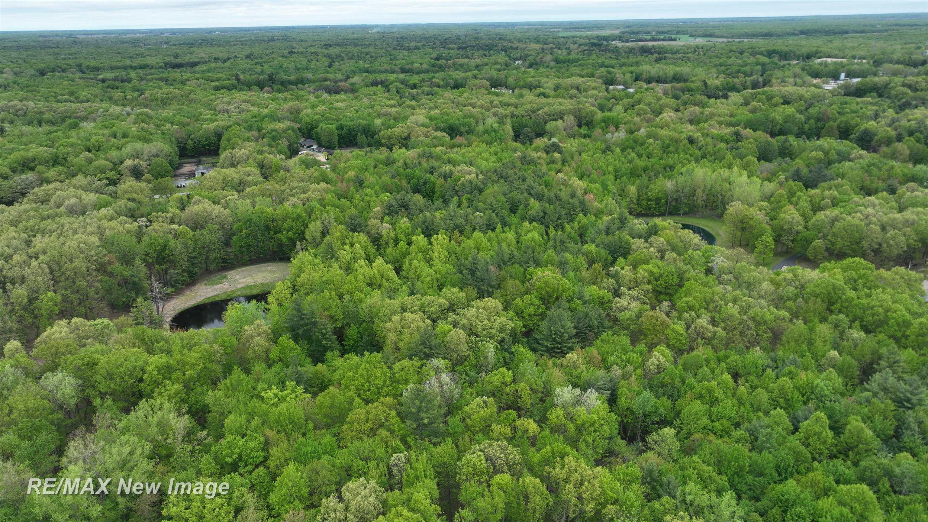 12000 W Townline Road St. Charles Township MI 48655
