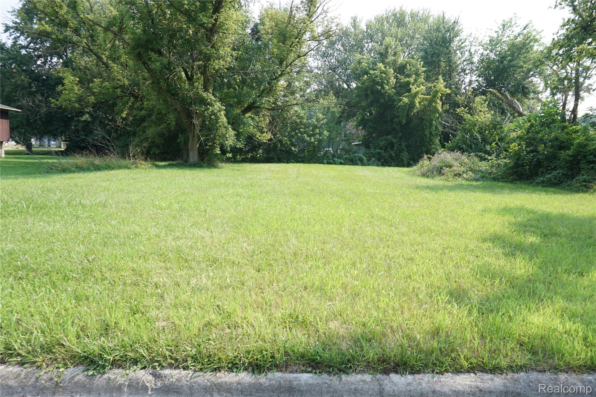 Vacant Penn Street Inkster City MI 48141