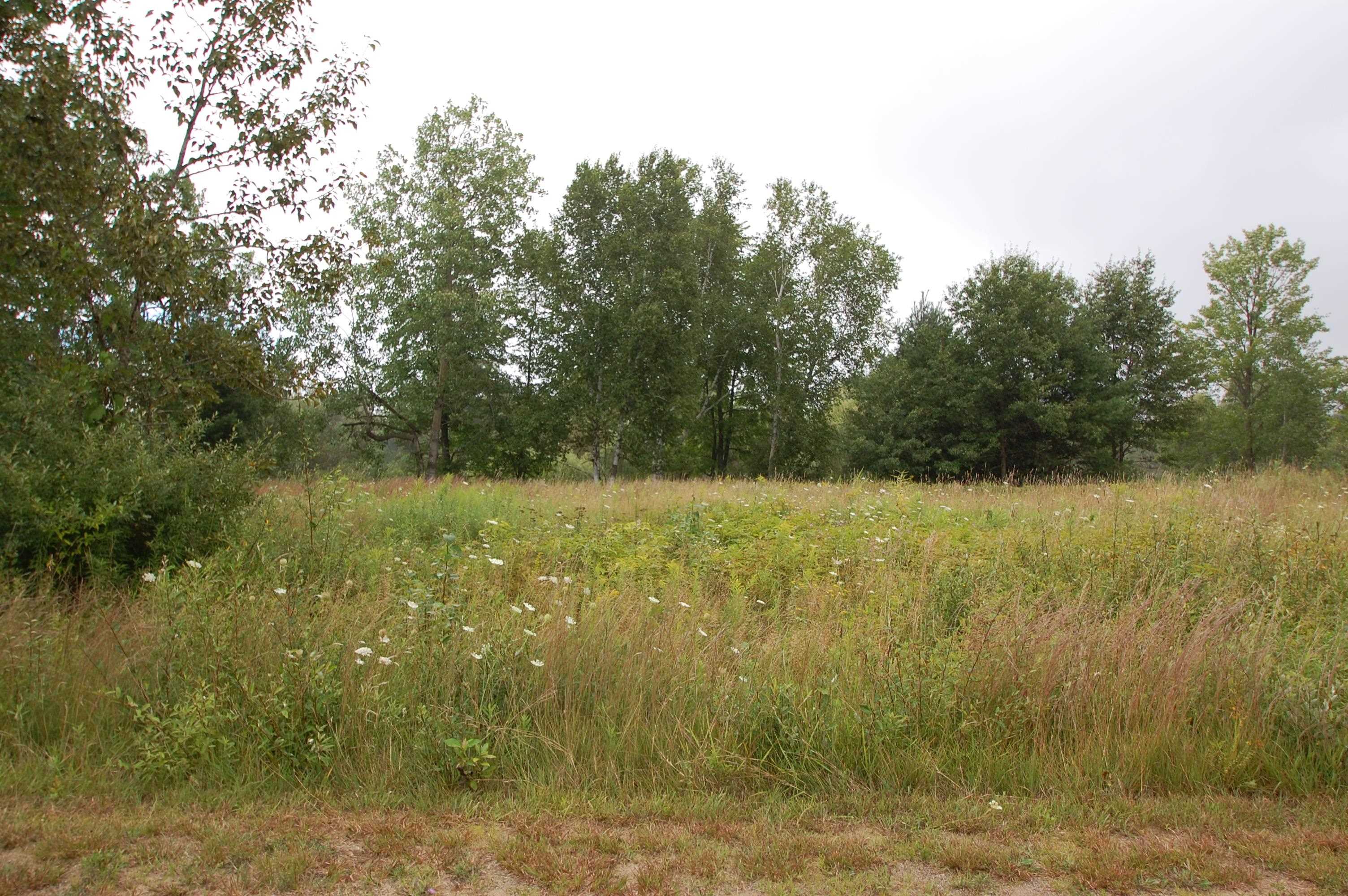 0 Arthur Court West Branch Township MI 48661