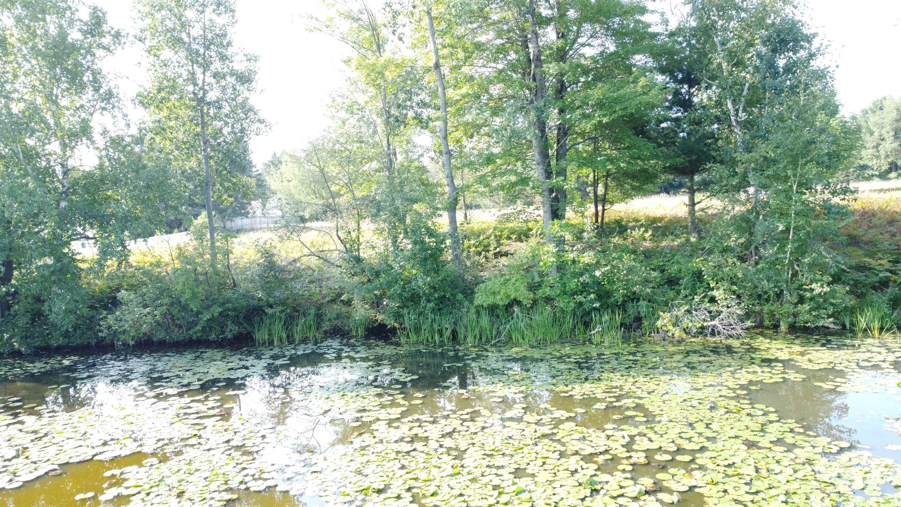 0 Arthur Court West Branch Township MI 48661