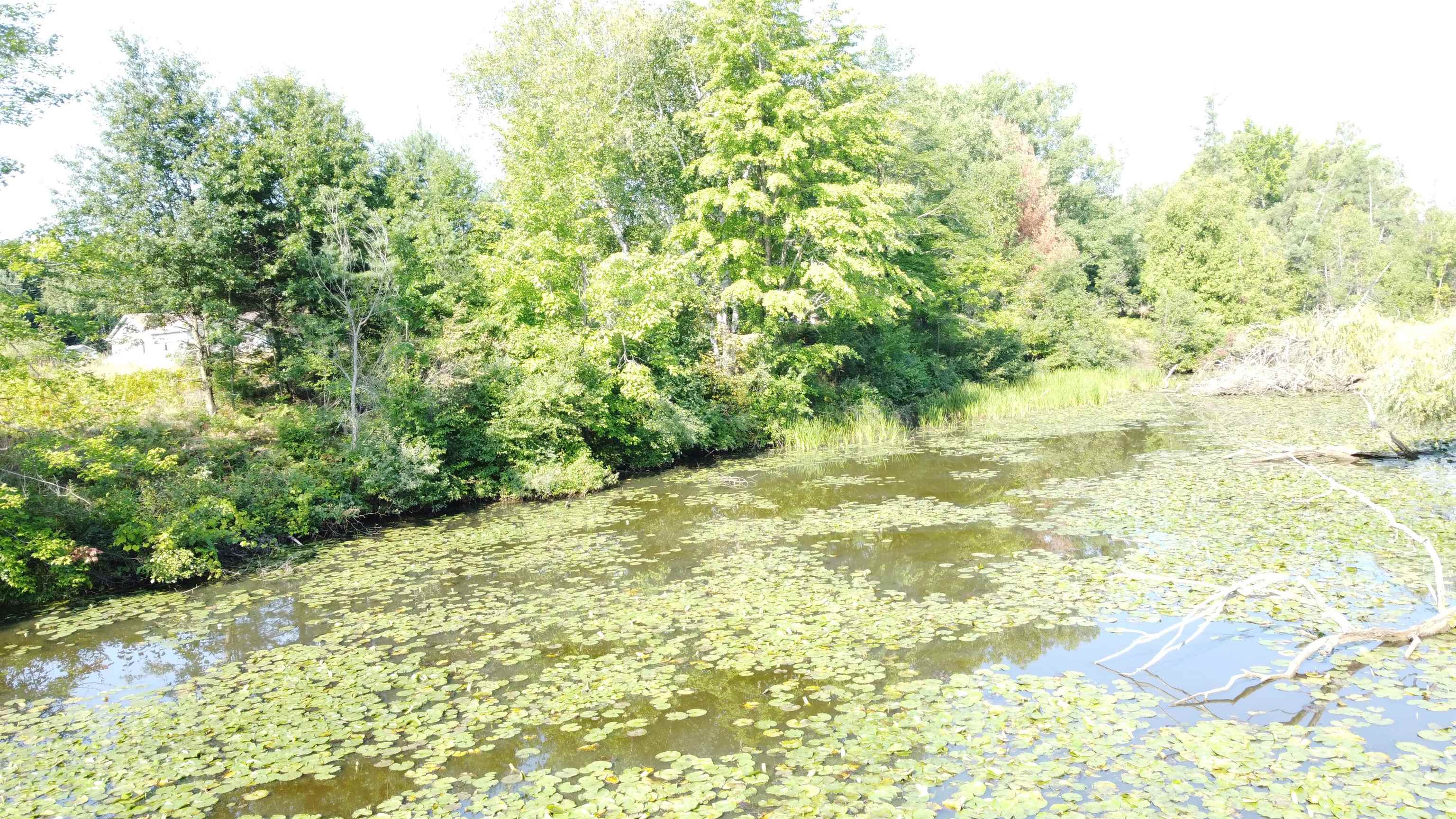0 Arthur Court West Branch Township MI 48661