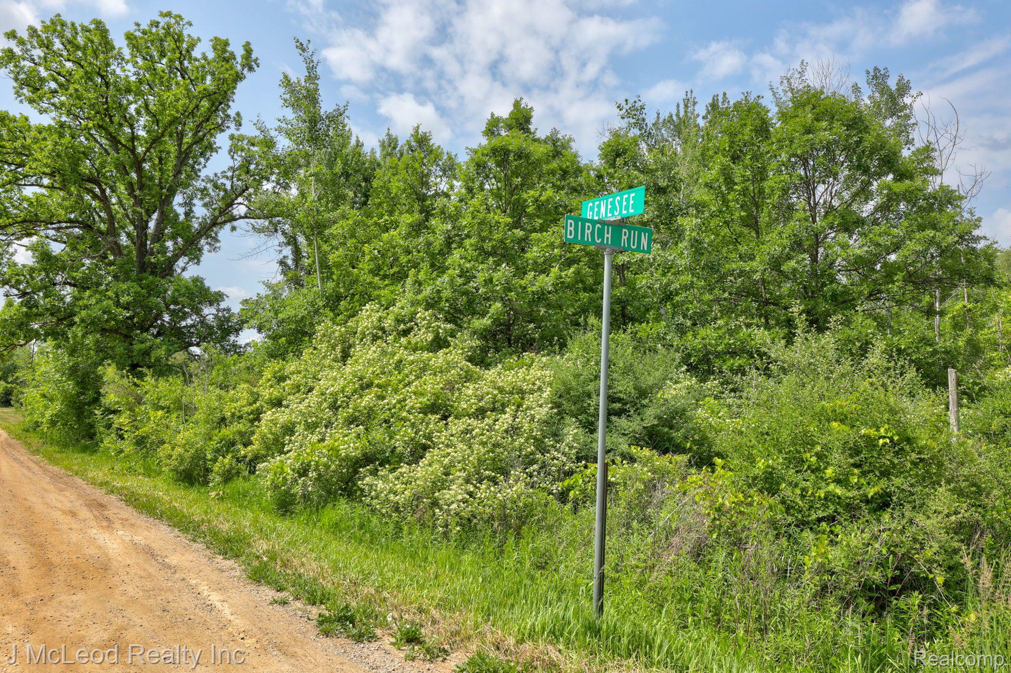 Ville 0330 Birch Run Road At Genesee Road Arbela Township MI 48746