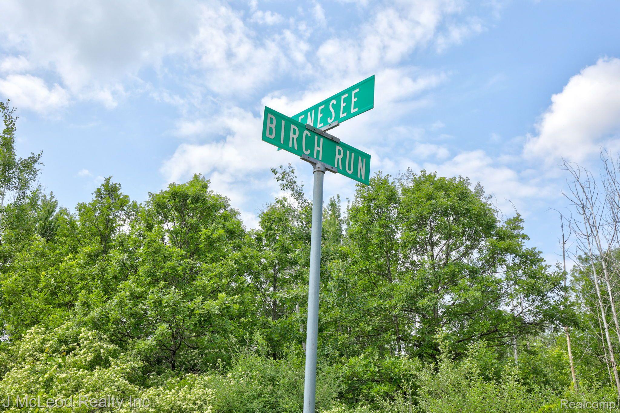 Ville 0330 Birch Run Road At Genesee Road Arbela Township MI 48746