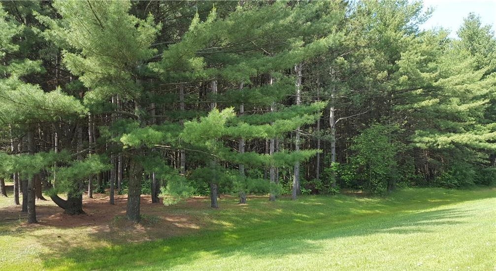 S Washburn Road Fremont Township MI 48768