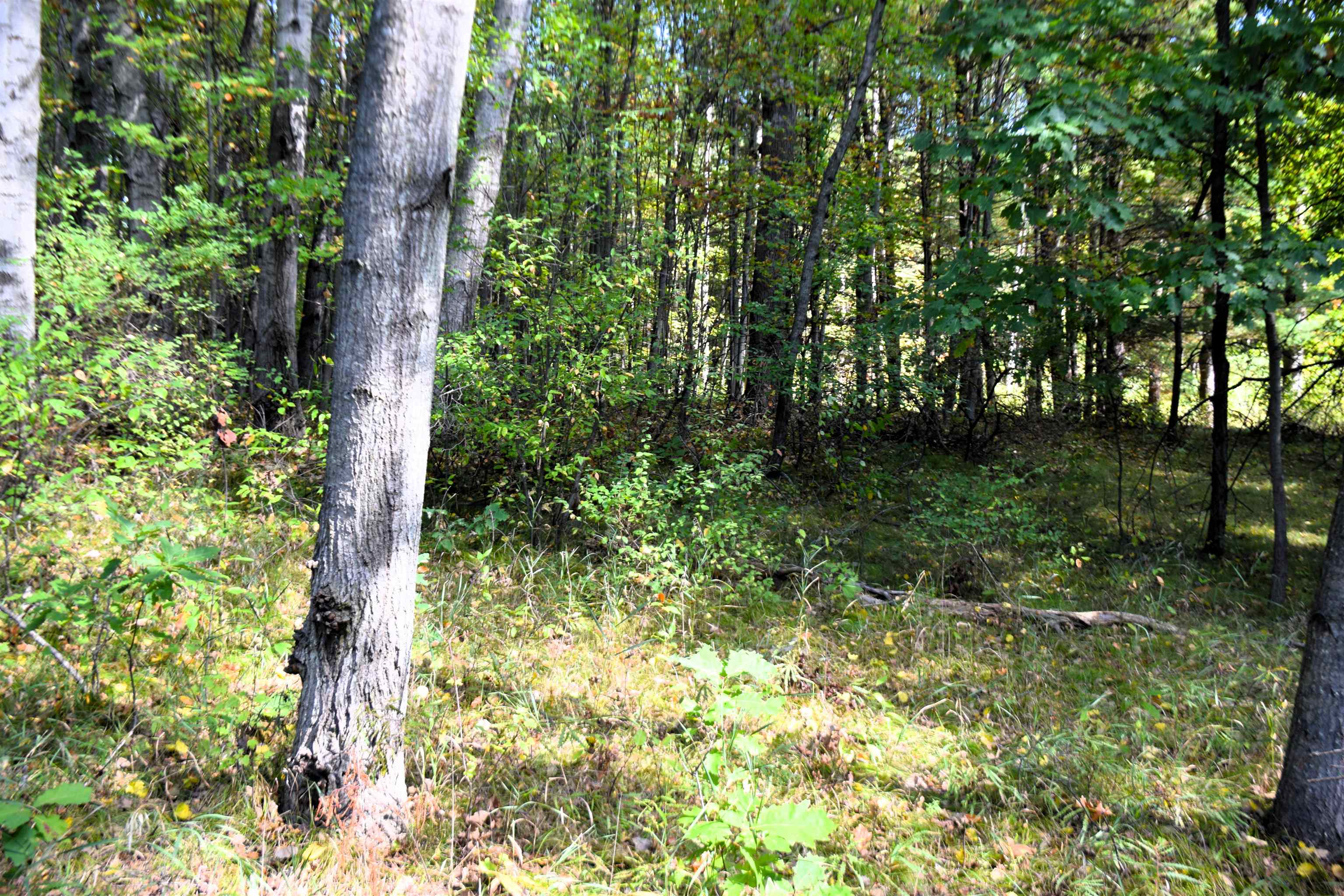8568 W Ludington Drive Garfield Township MI 48632