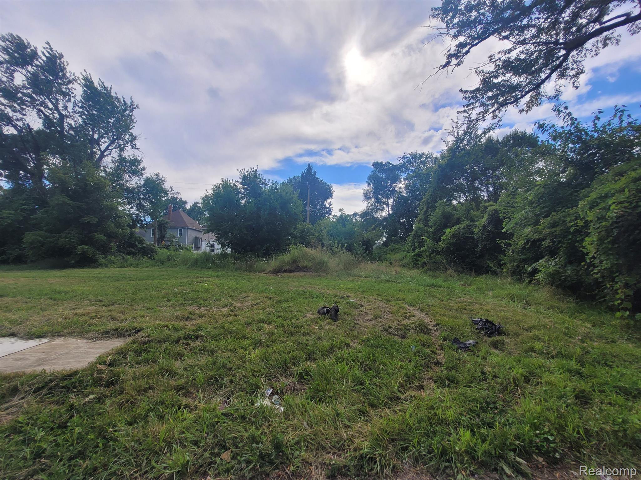 3443 Beals Street Detroit City MI 48214