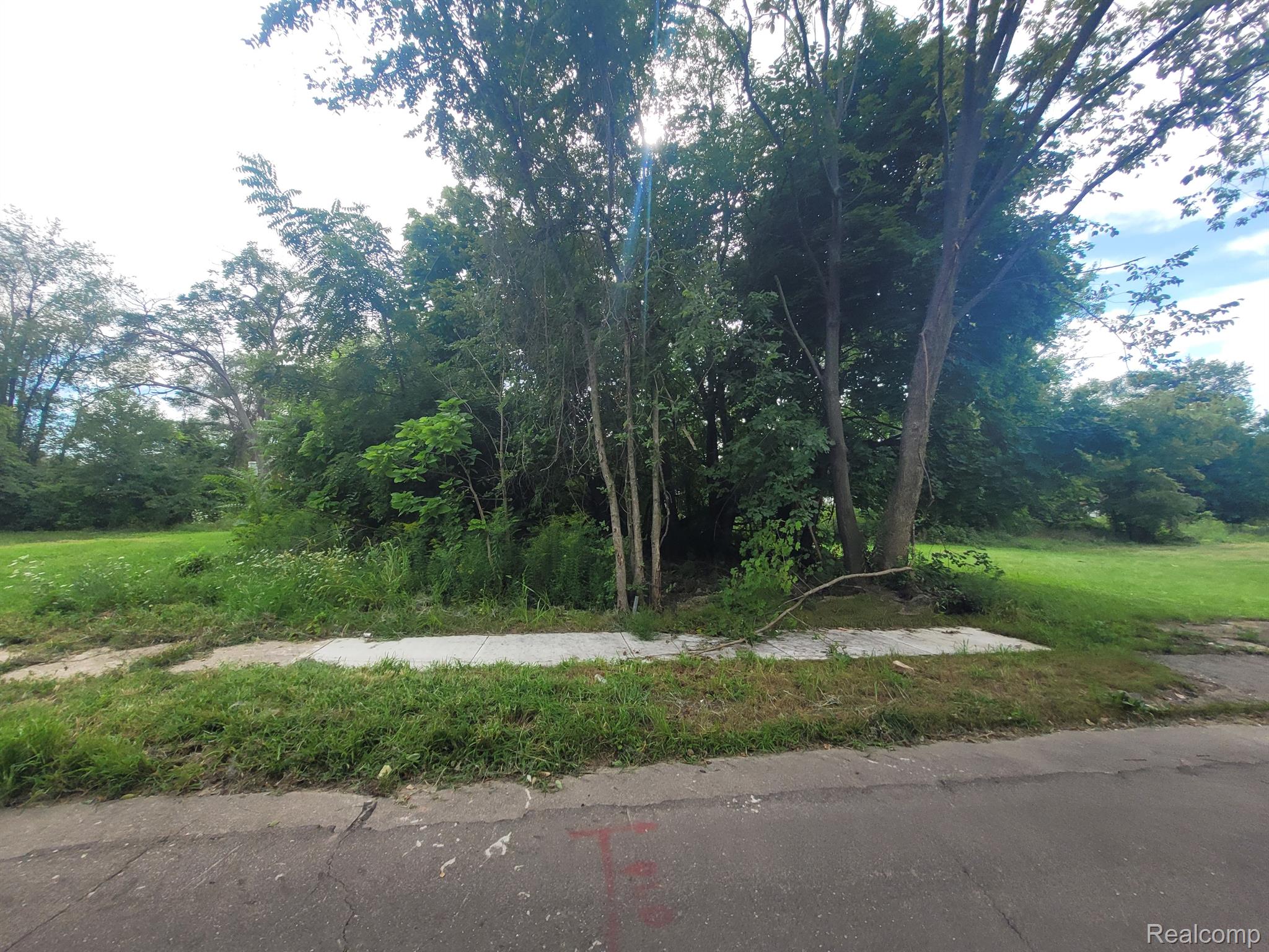 3443 Beals Street Detroit City MI 48214