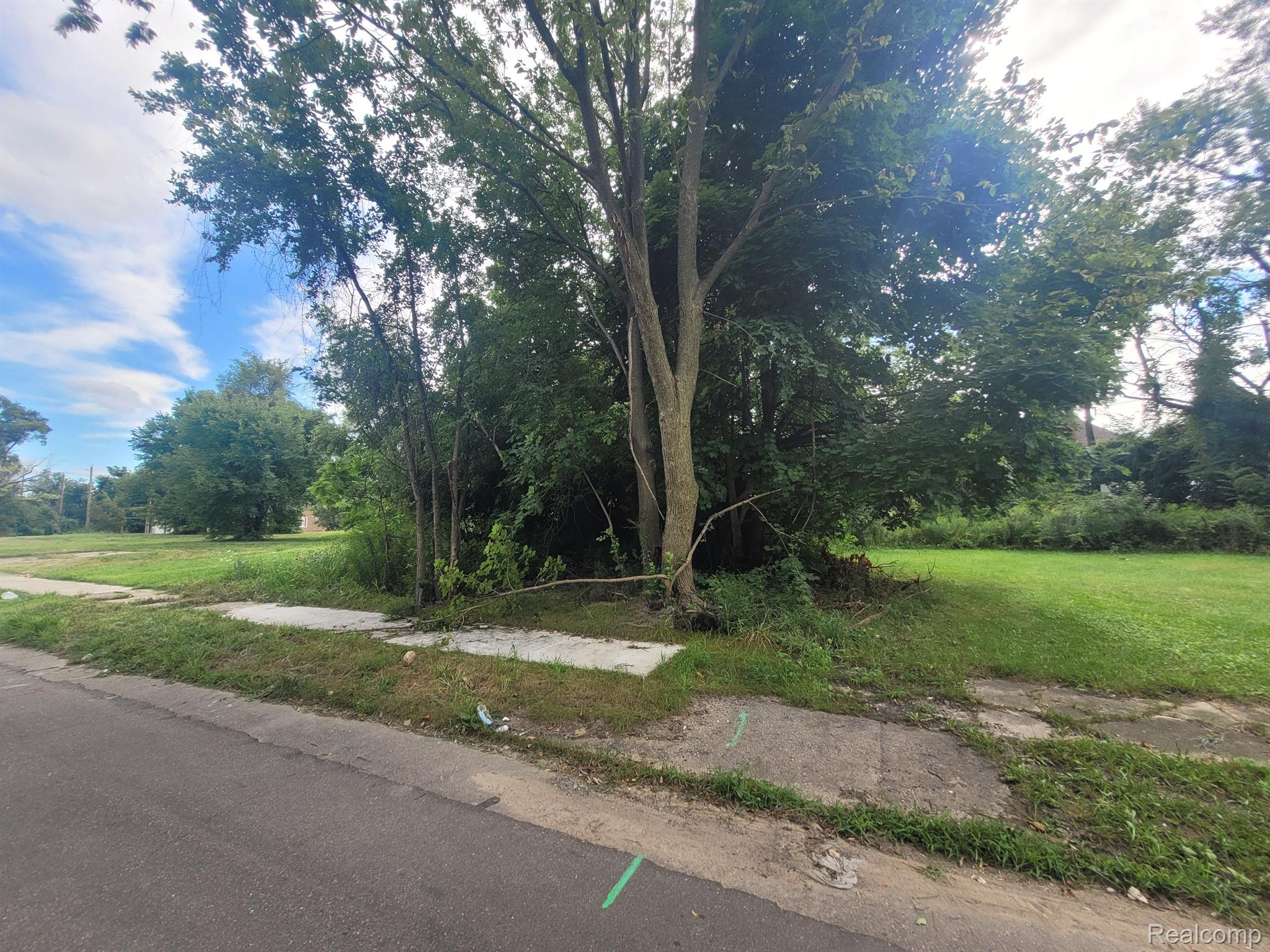 3443 Beals Street Detroit City MI 48214