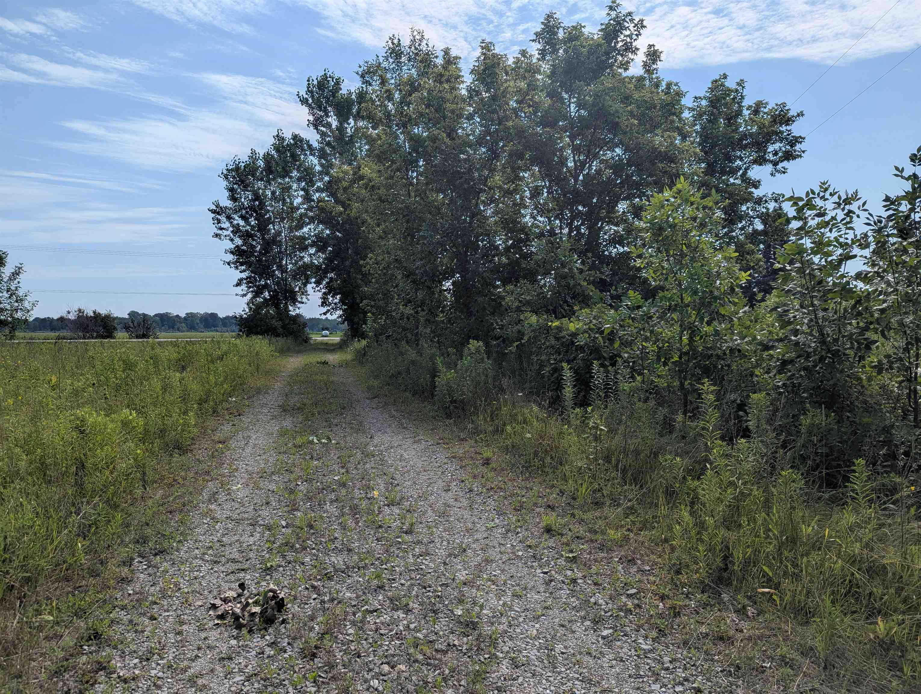 866 S Tonkey Road Sims Township MI 48703