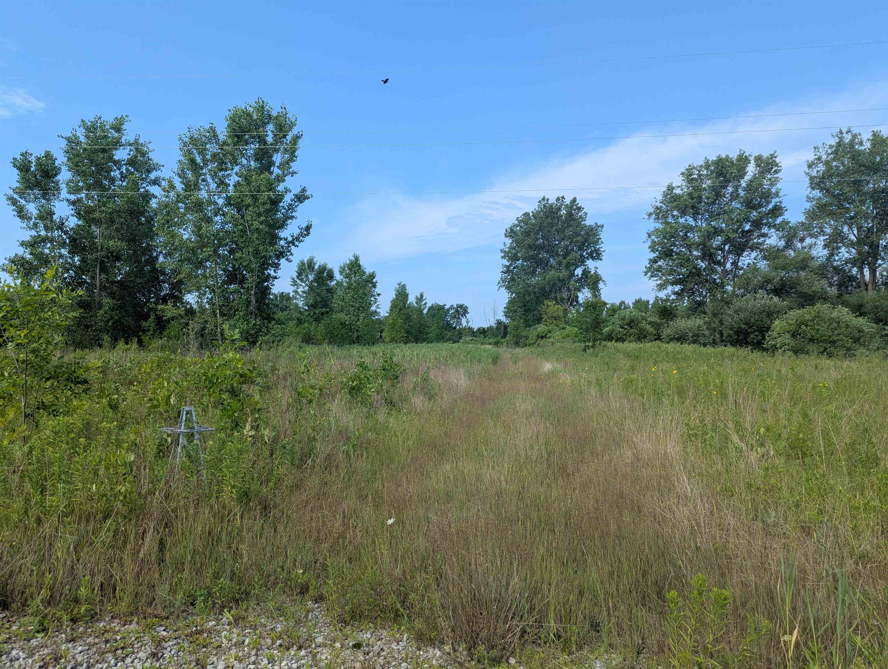 866 S Tonkey Road Sims Township MI 48703