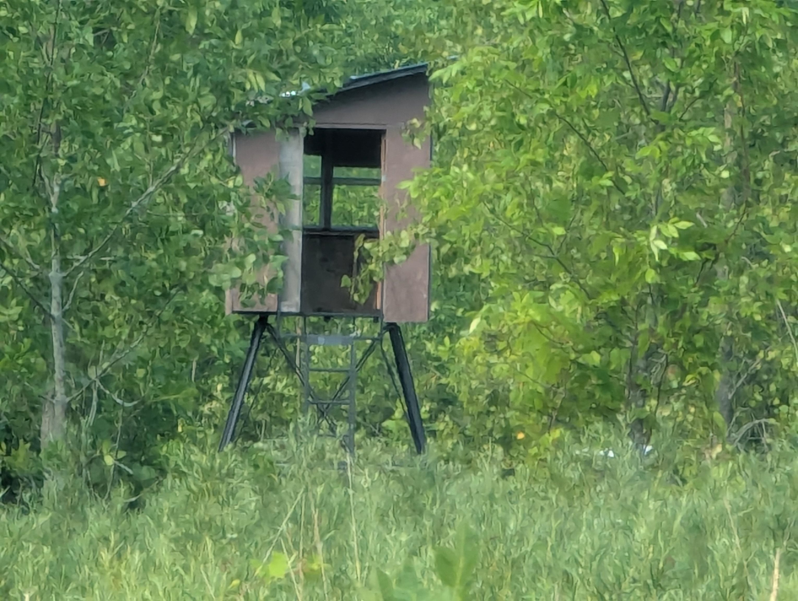 866 S Tonkey Road Sims Township MI 48703