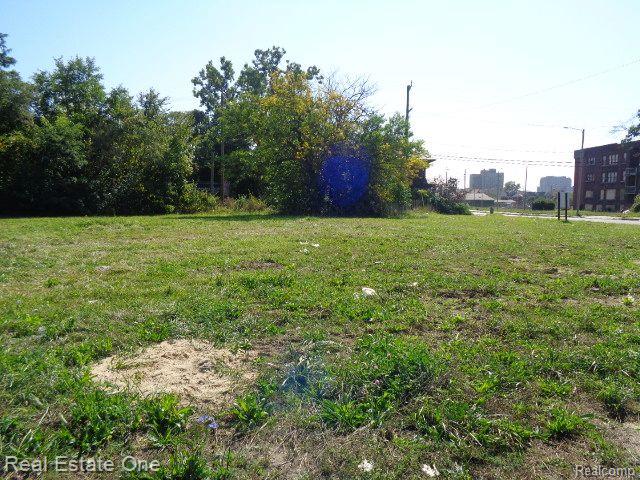 404 Harper Avenue Detroit City MI 48202