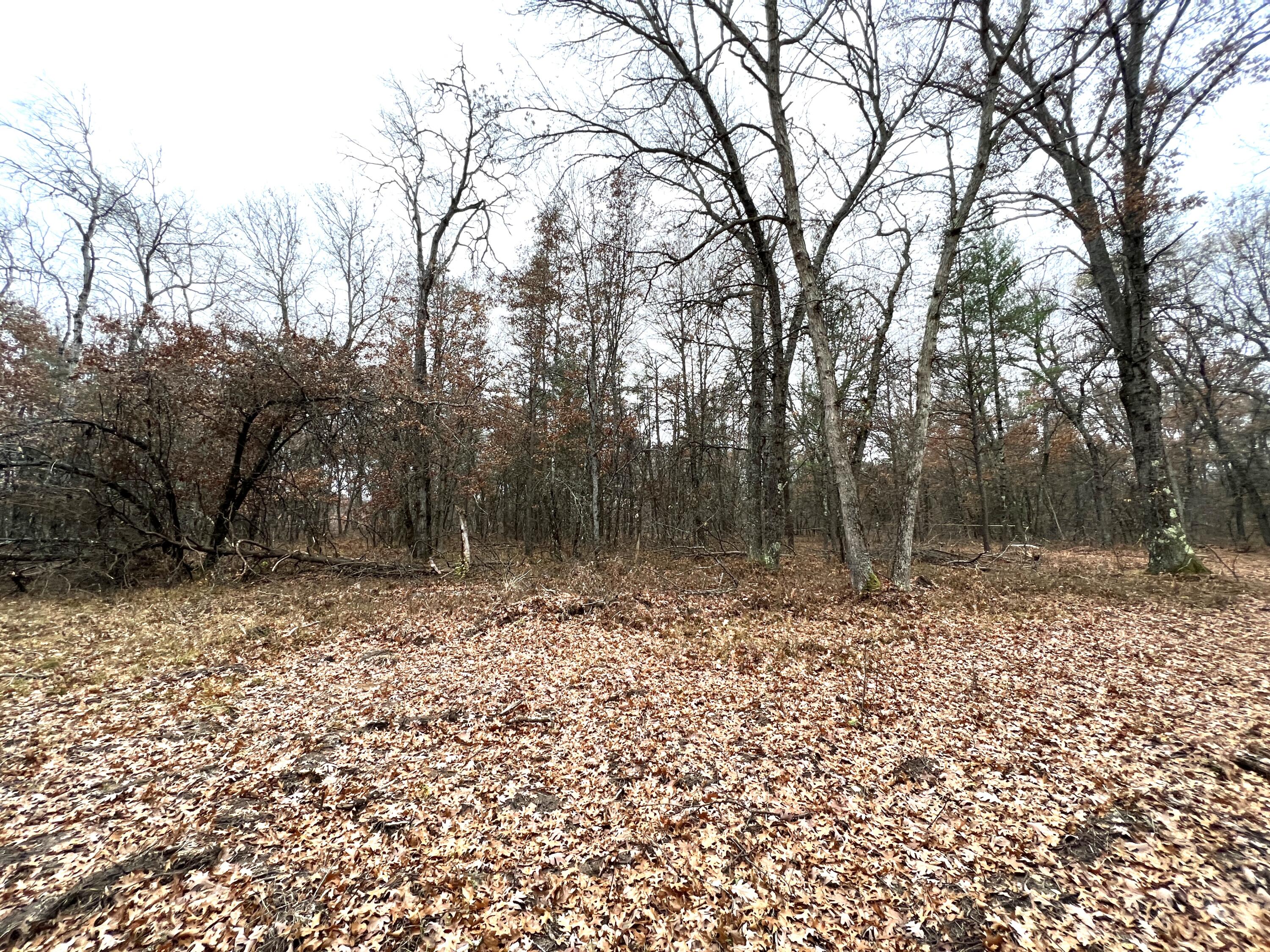 2442 E 38th Street Cherry Valley Township MI 49642