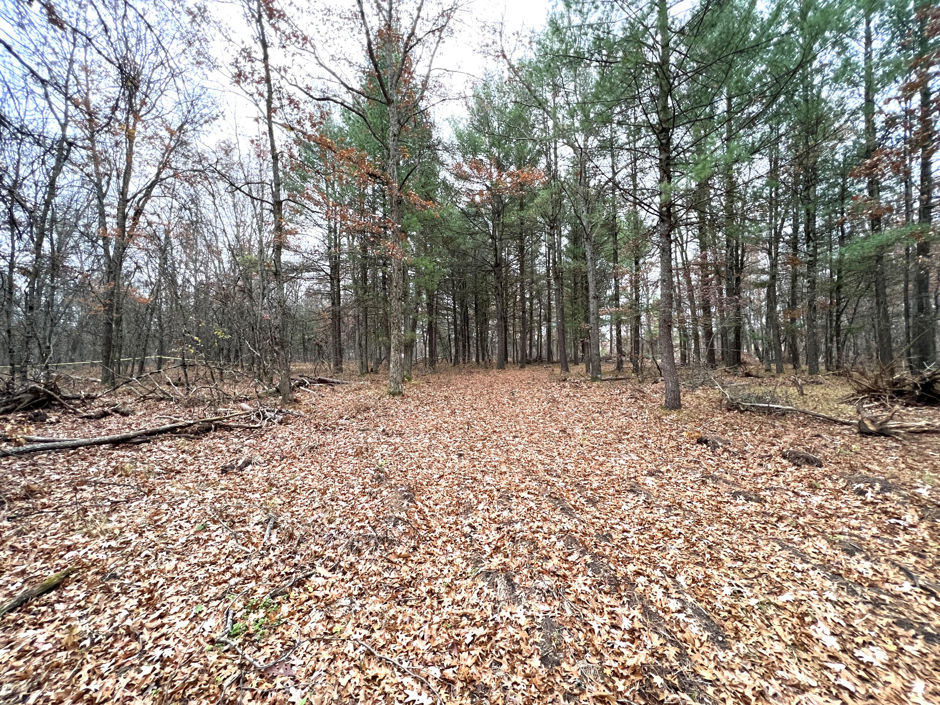 2442 E 38th Street Cherry Valley Township MI 49642