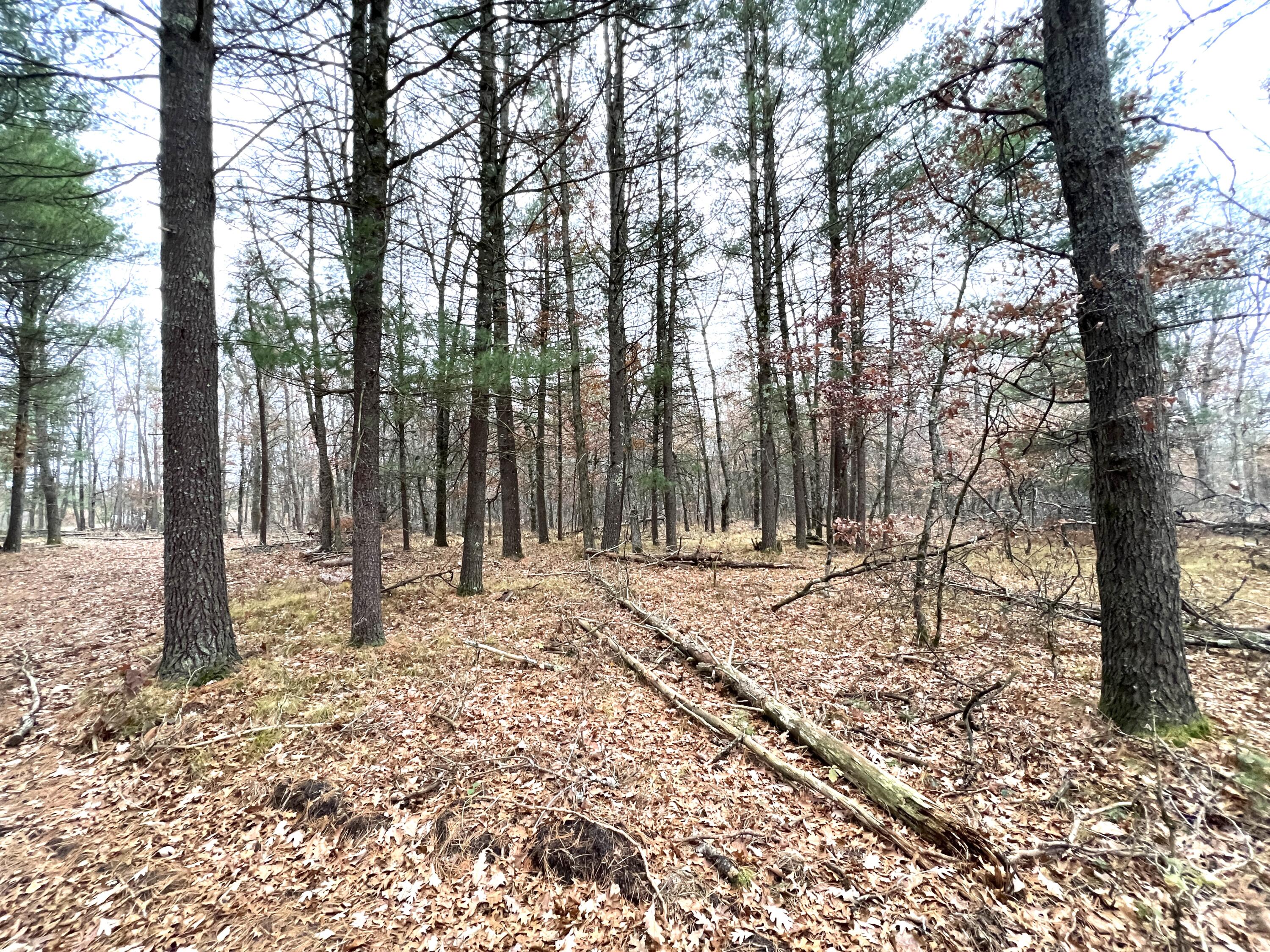 2442 E 38th Street Cherry Valley Township MI 49642