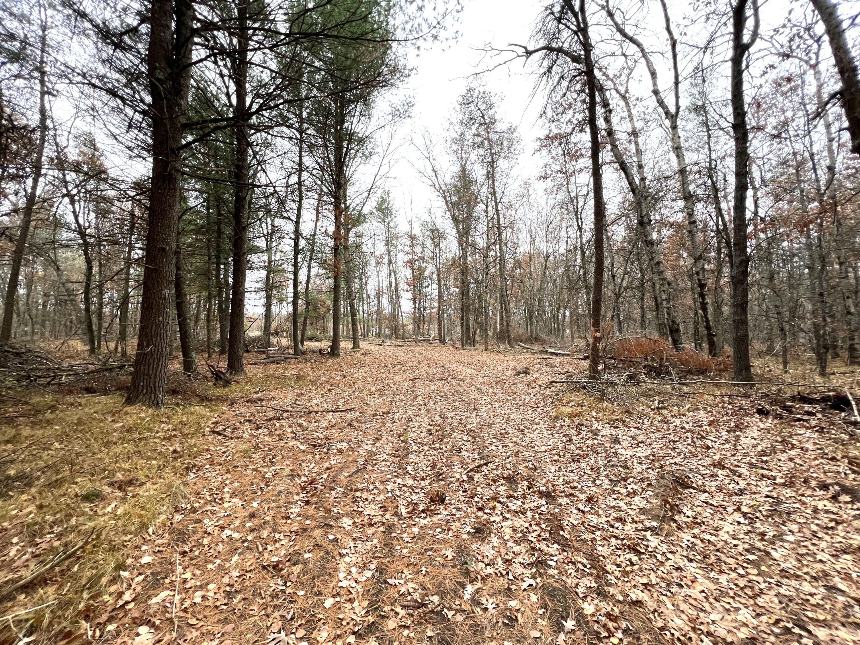 2442 E 38th Street Cherry Valley Township MI 49642