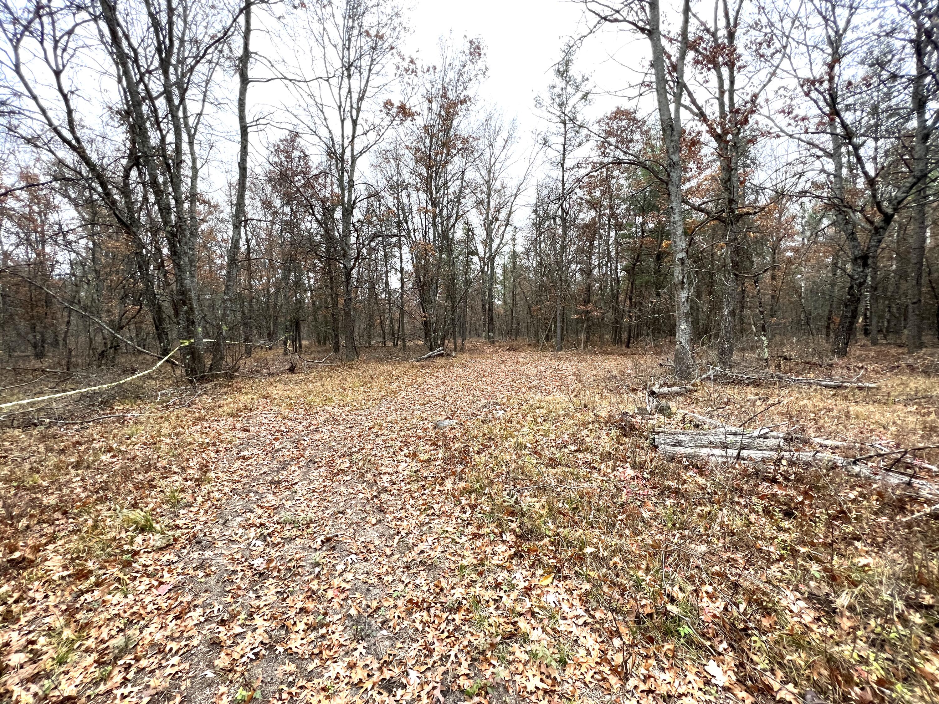 2442 E 38th Street Cherry Valley Township MI 49642