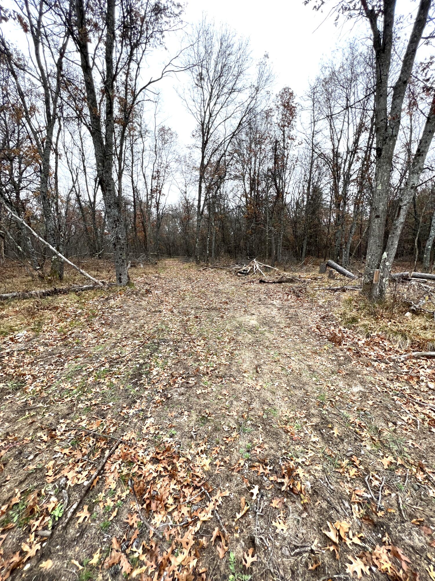 2442 E 38th Street Cherry Valley Township MI 49642