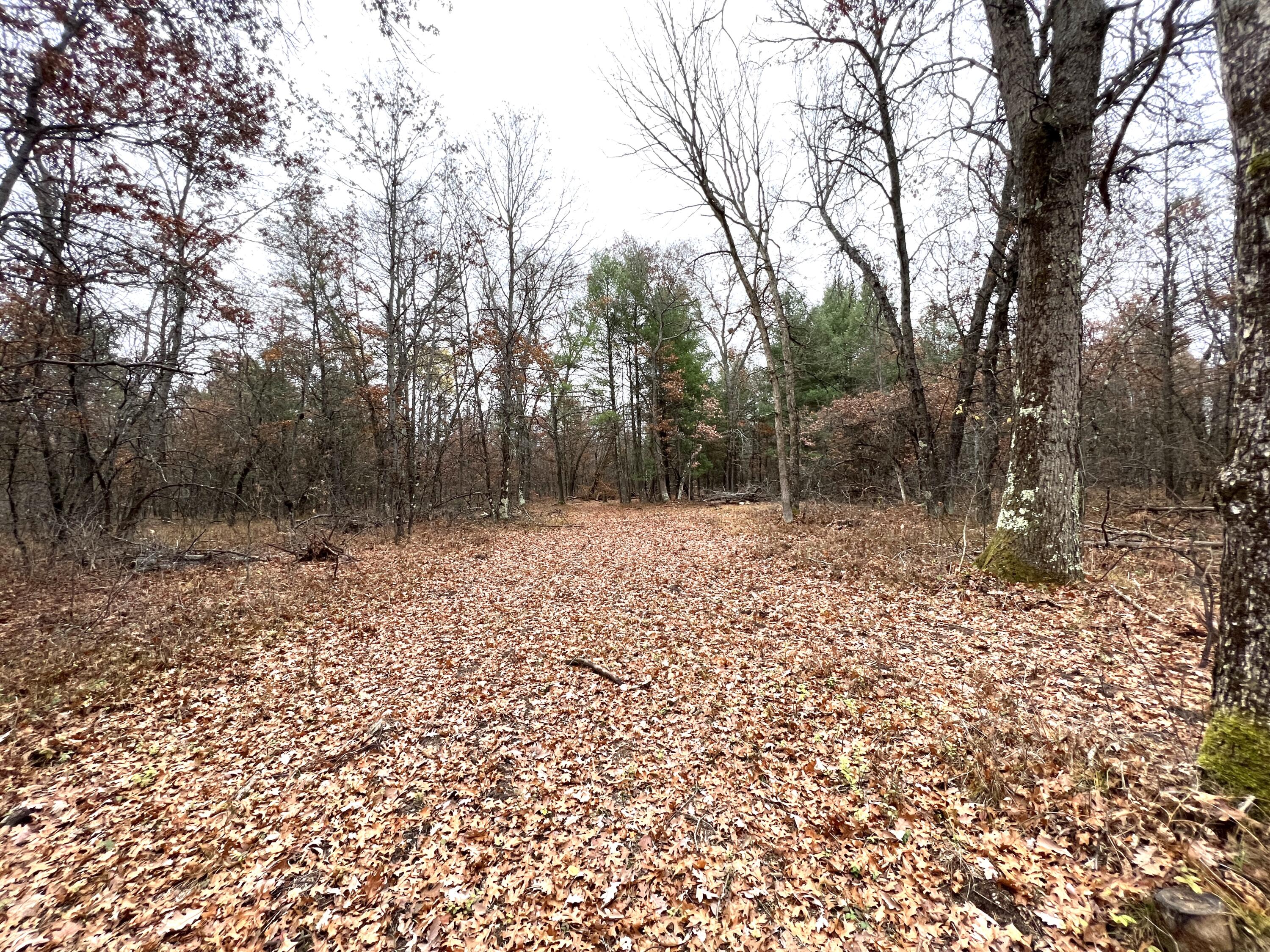 2442 E 38th Street Cherry Valley Township MI 49642