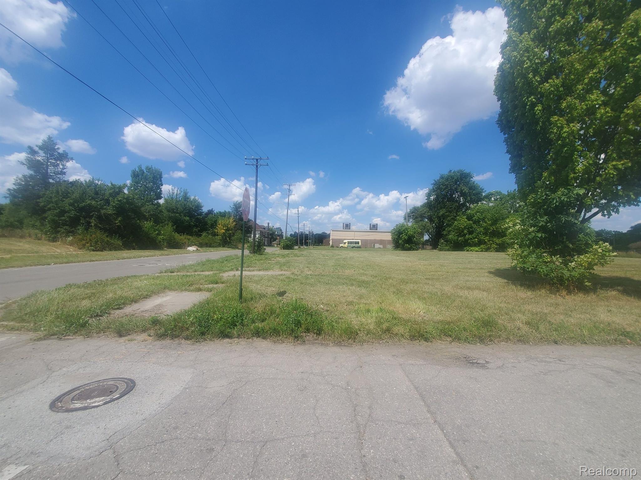11534 Woodrow Wilson Street Detroit City MI 48206
