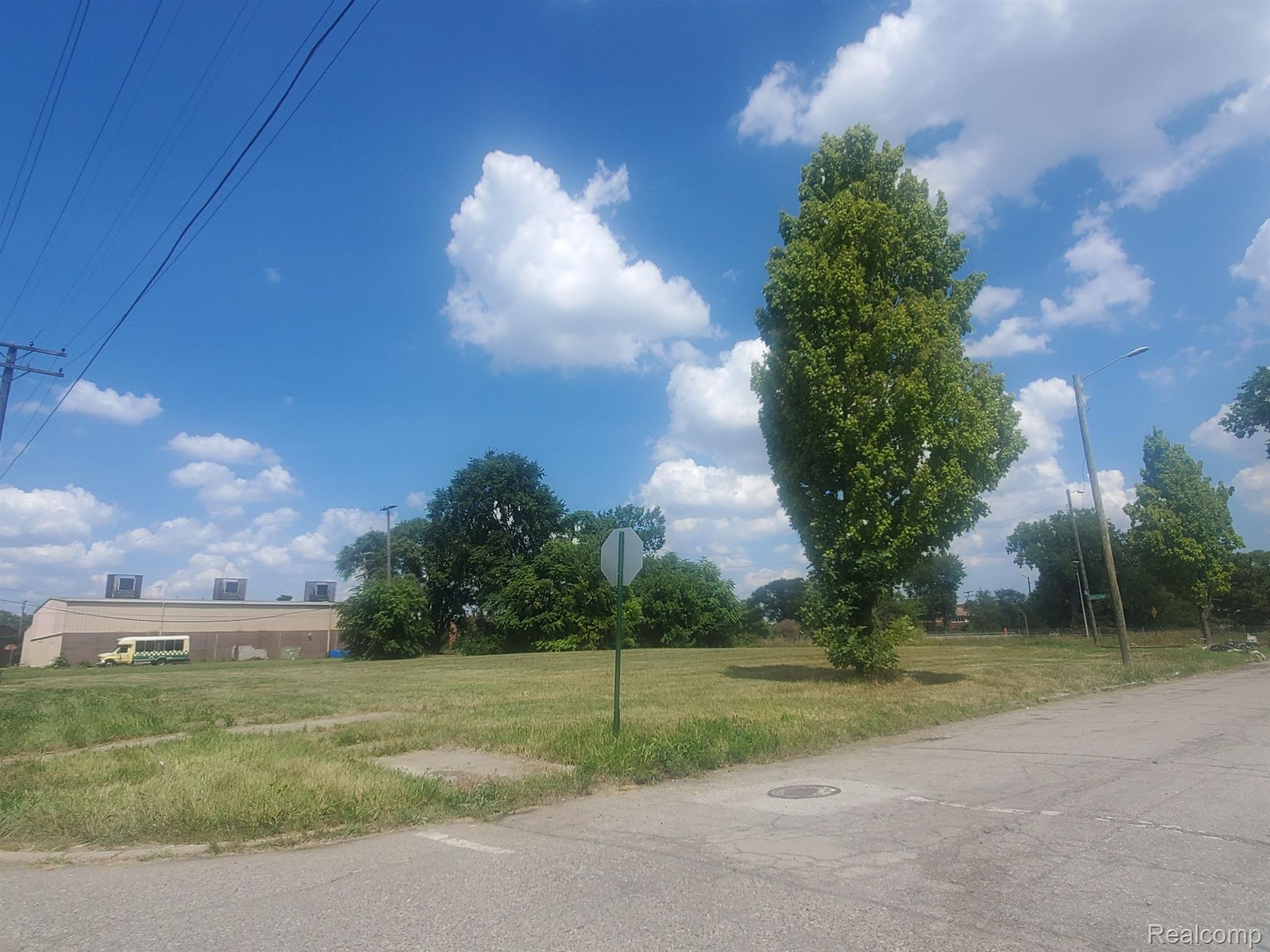 11534 Woodrow Wilson Street Detroit City MI 48206