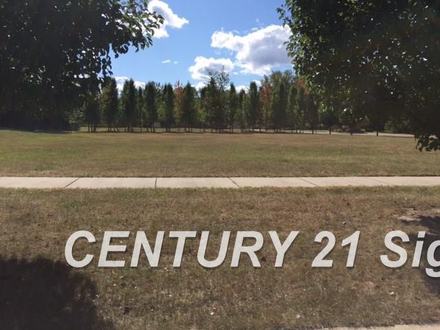 #5 Sawmill Creek Trail Saginaw Charter Township MI 48603