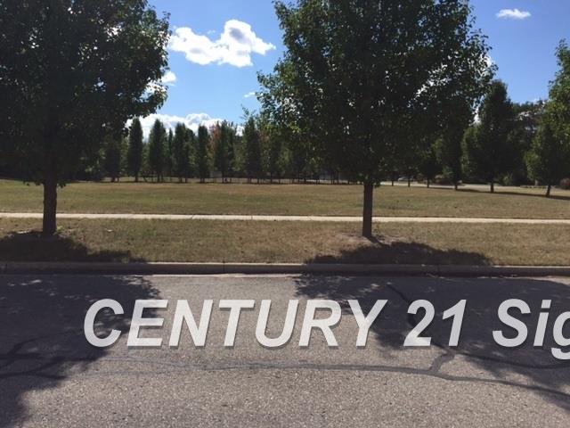 #5 Sawmill Creek Trail Saginaw Charter Township MI 48603